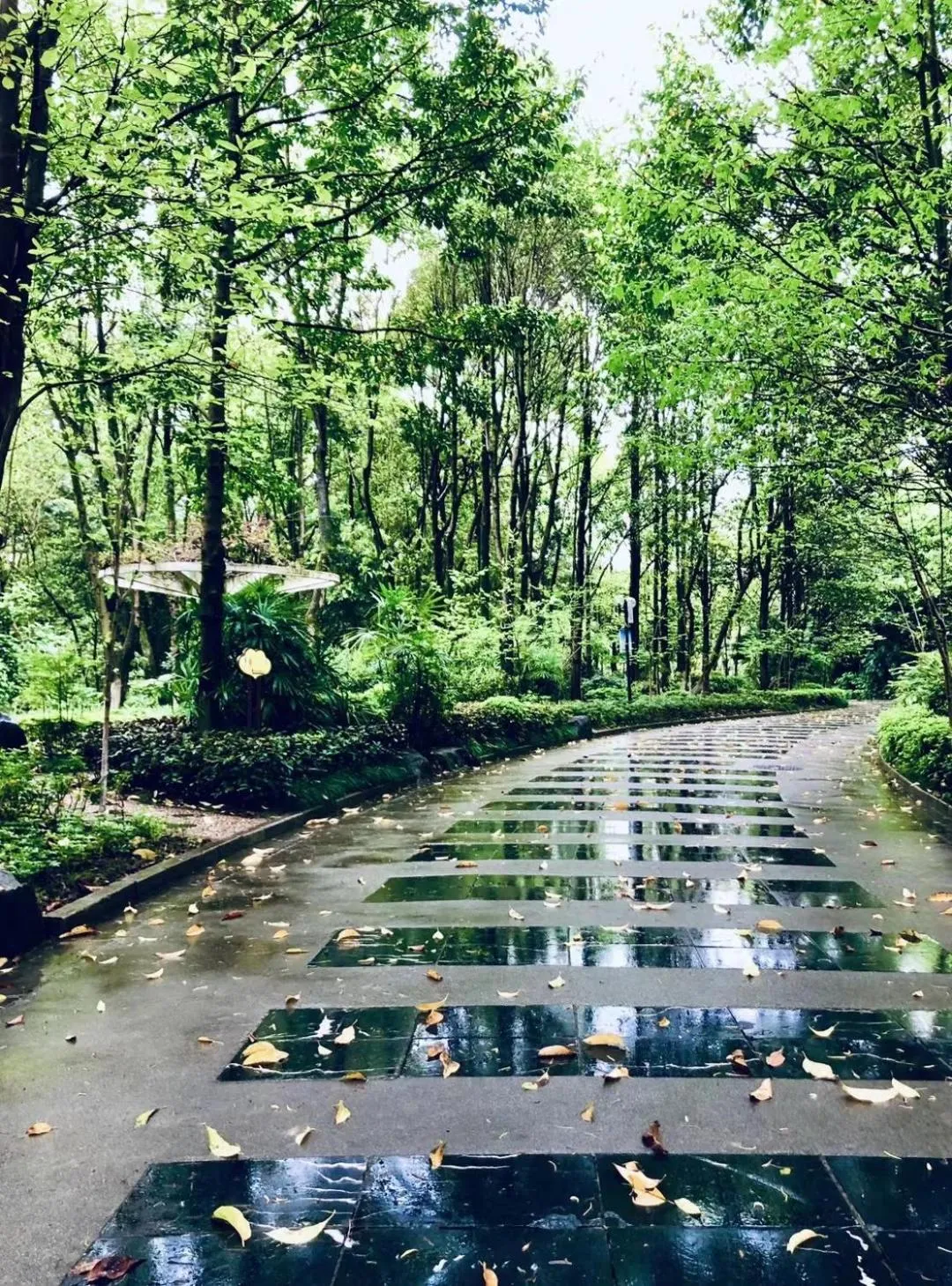 Spring in Junshe Boutique Guest House-Complementary pick up servie for a 3-night stay in a deluxe room