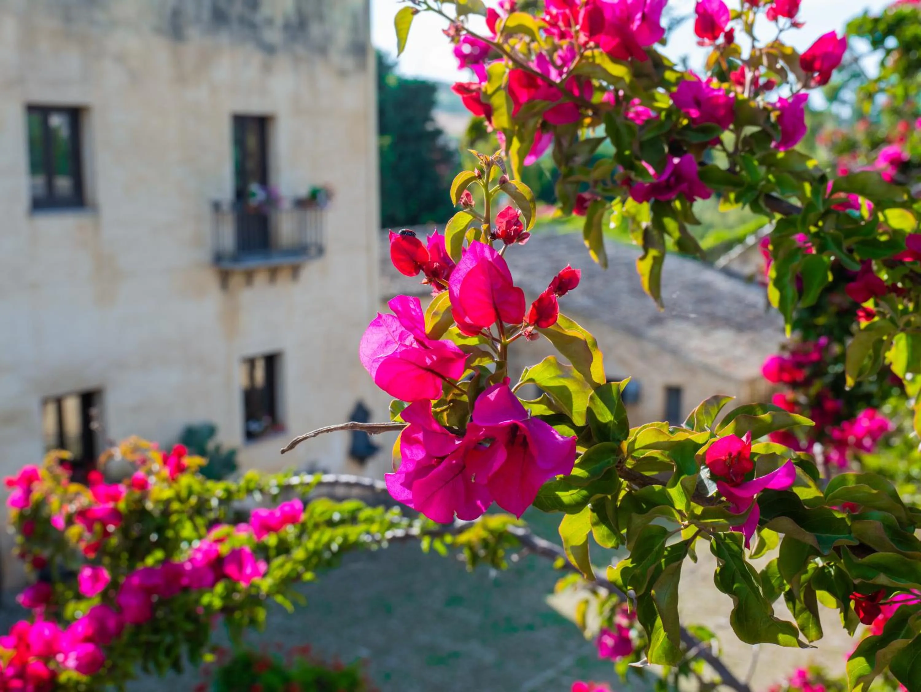 Agriturismo Baglio Fontana