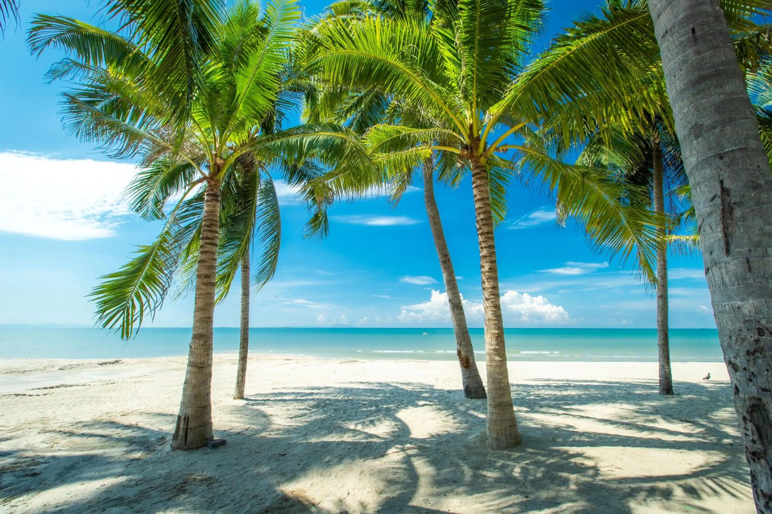 Nearby landmark in Bangsaen Heritage Hotel