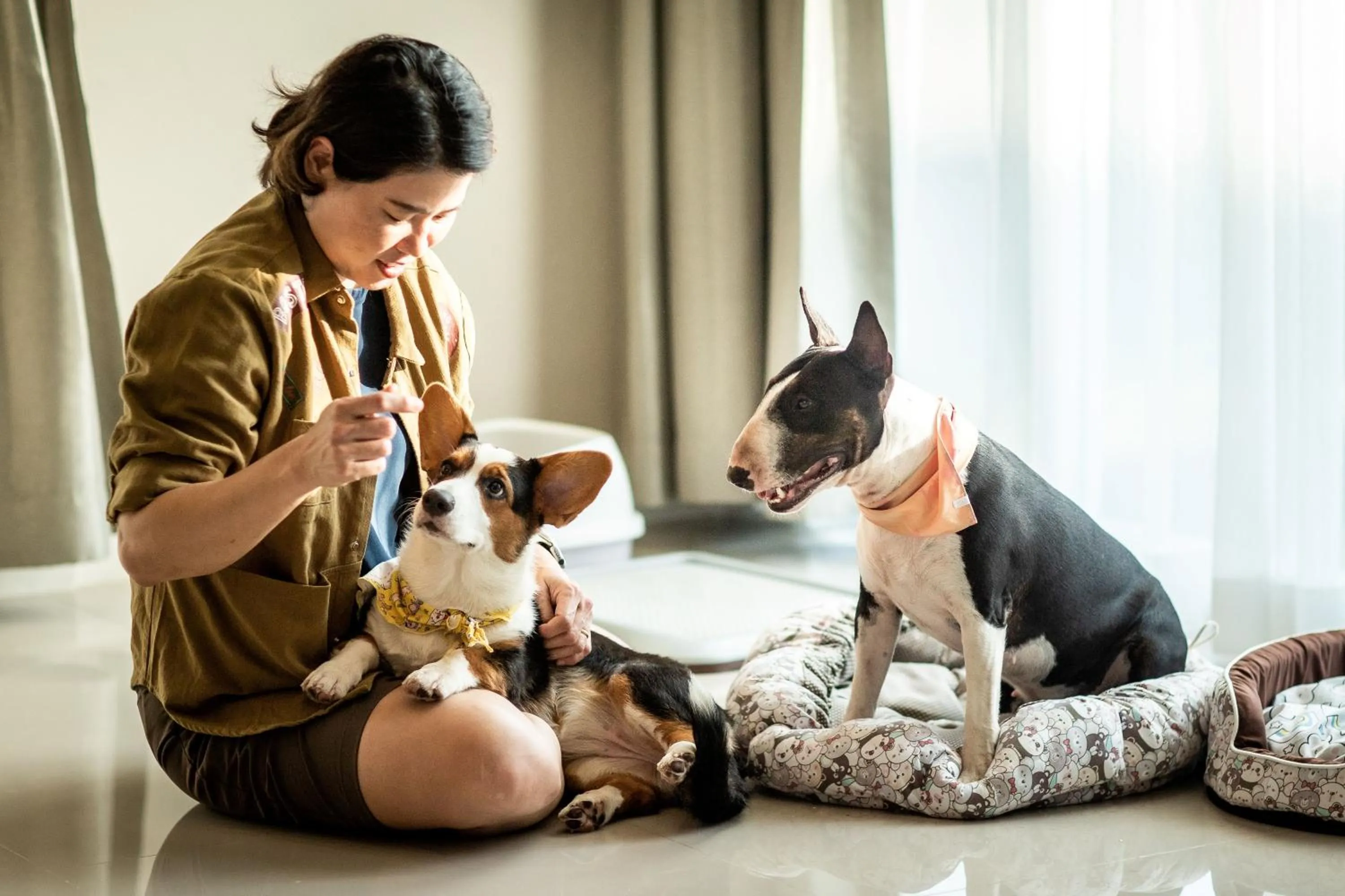 pet friendly in Bangsaen Heritage Hotel