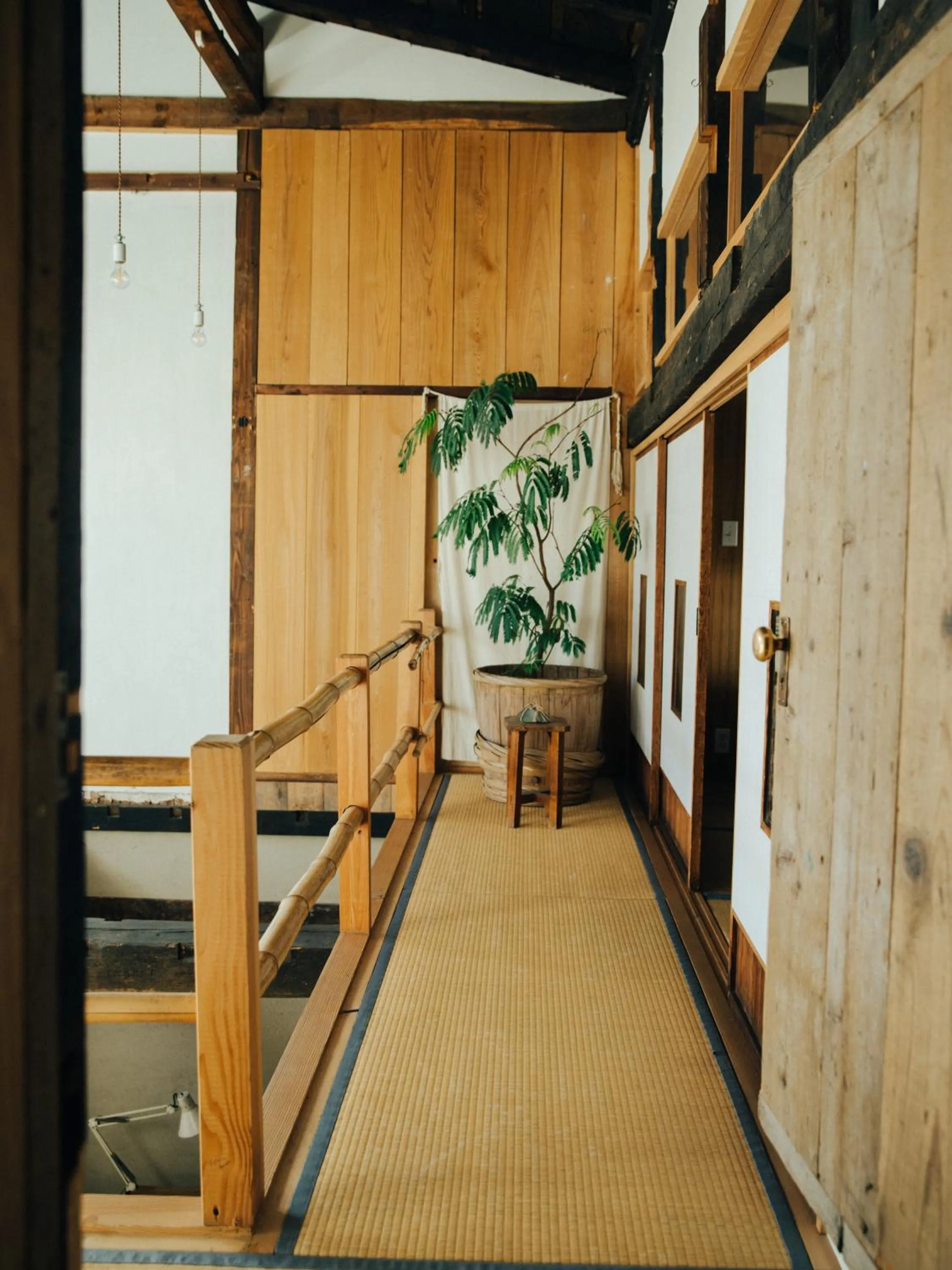 View (from property/room) in Hostel Saruya