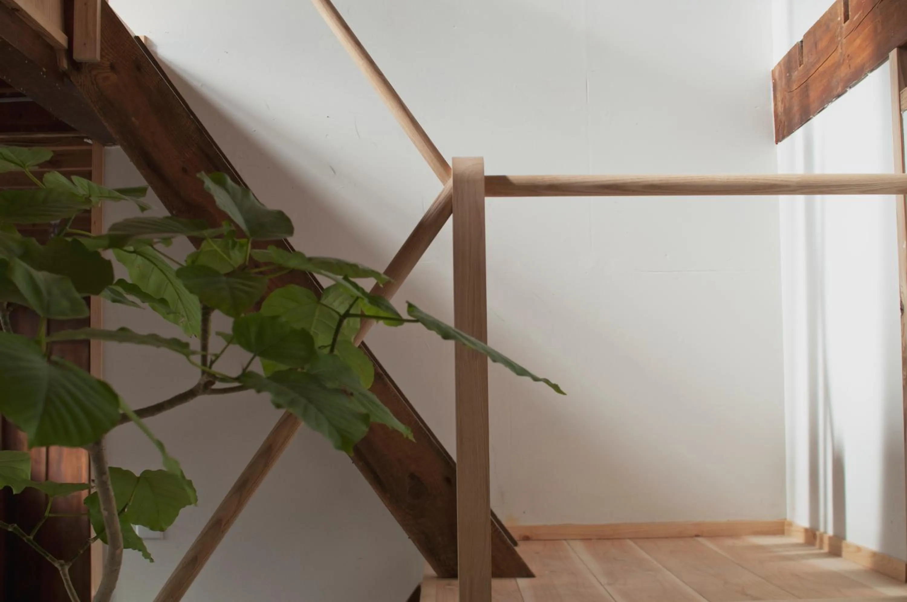 Other in Hostel Saruya