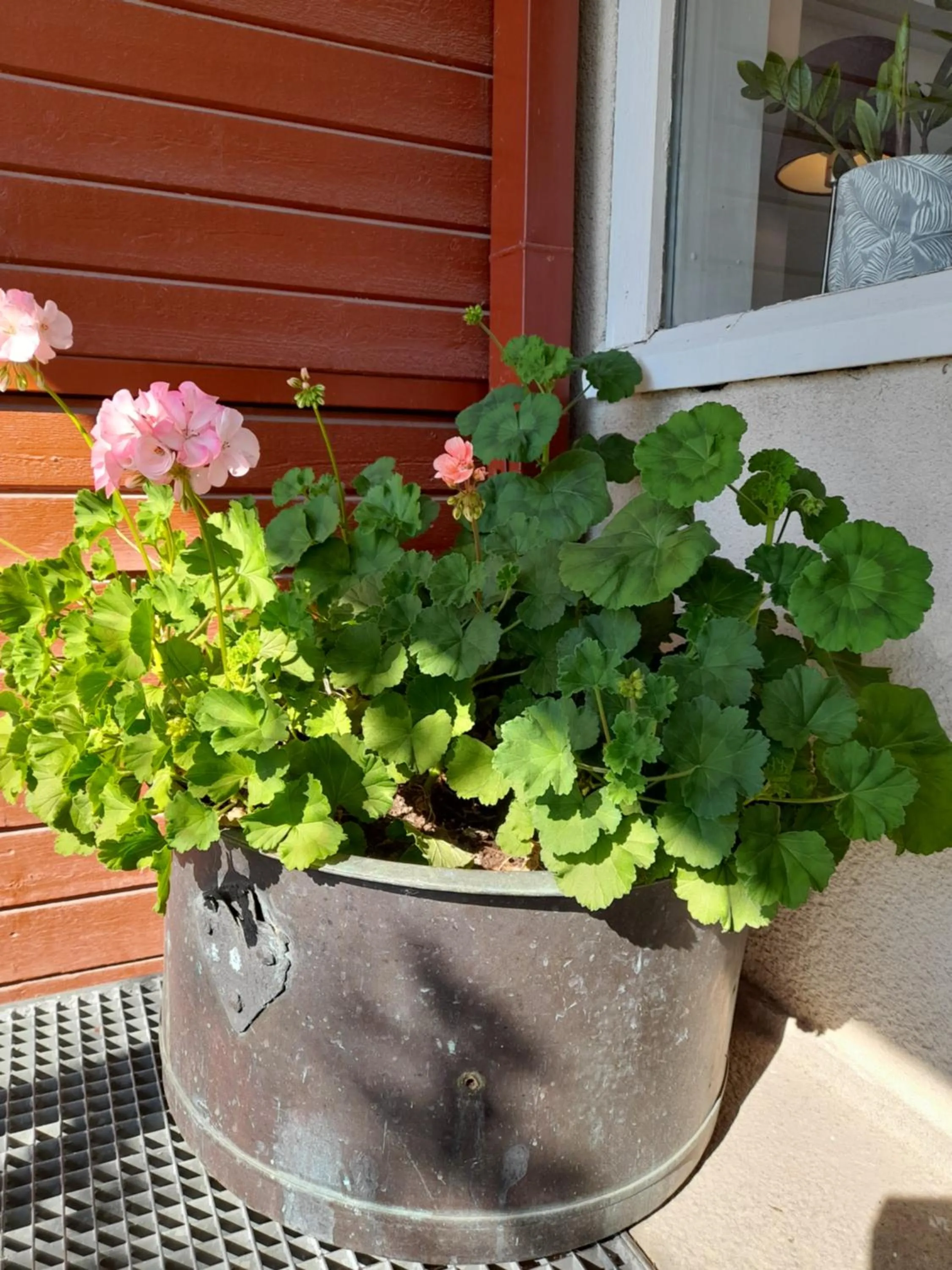 Decorative detail in Kristinebergs Bed & Breakfast