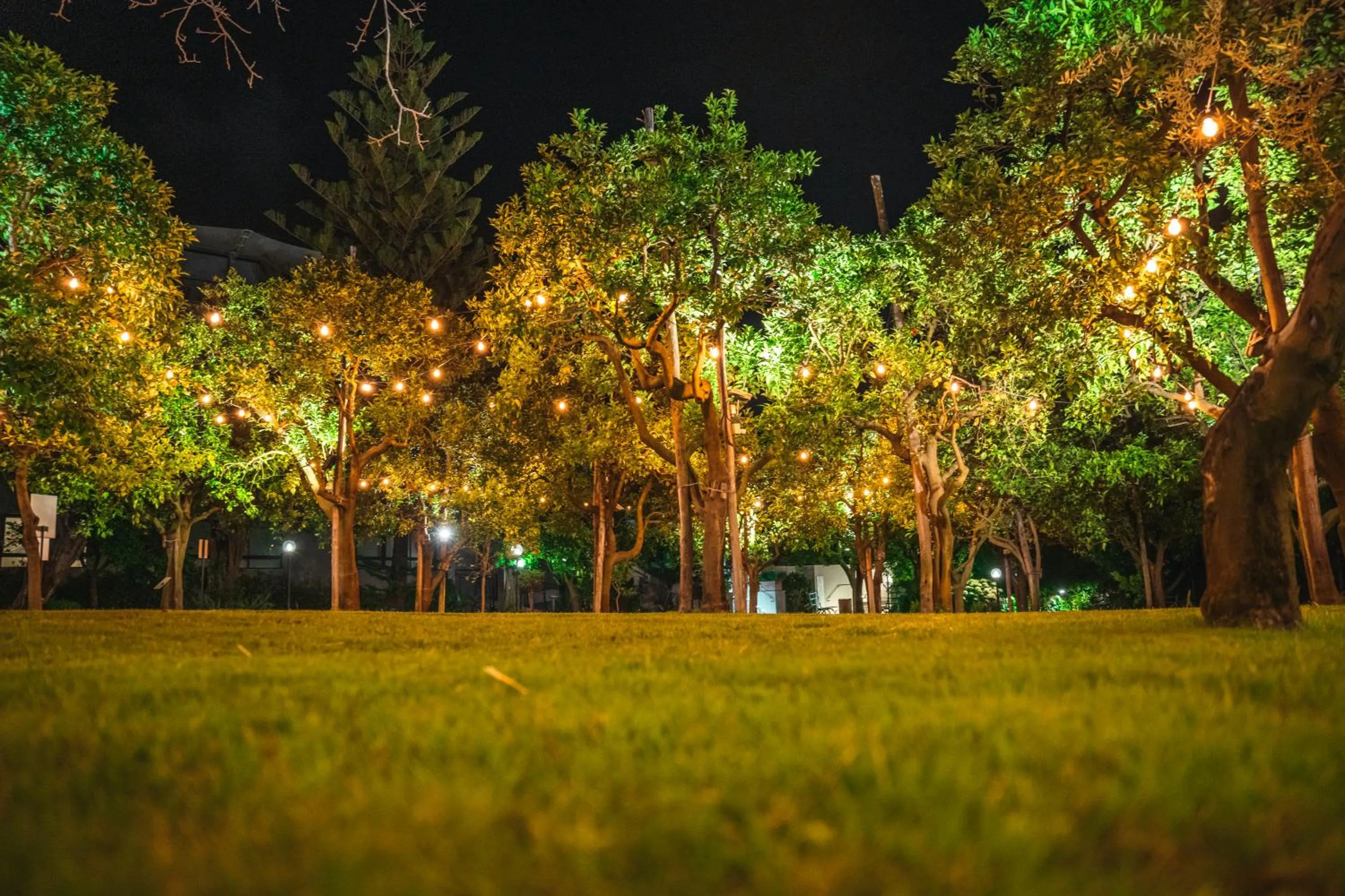 Restaurant/places to eat in Hilton Sorrento Palace