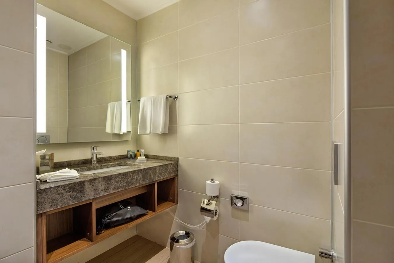 Toilet in Hilton Garden Inn Izmir Bayrakli