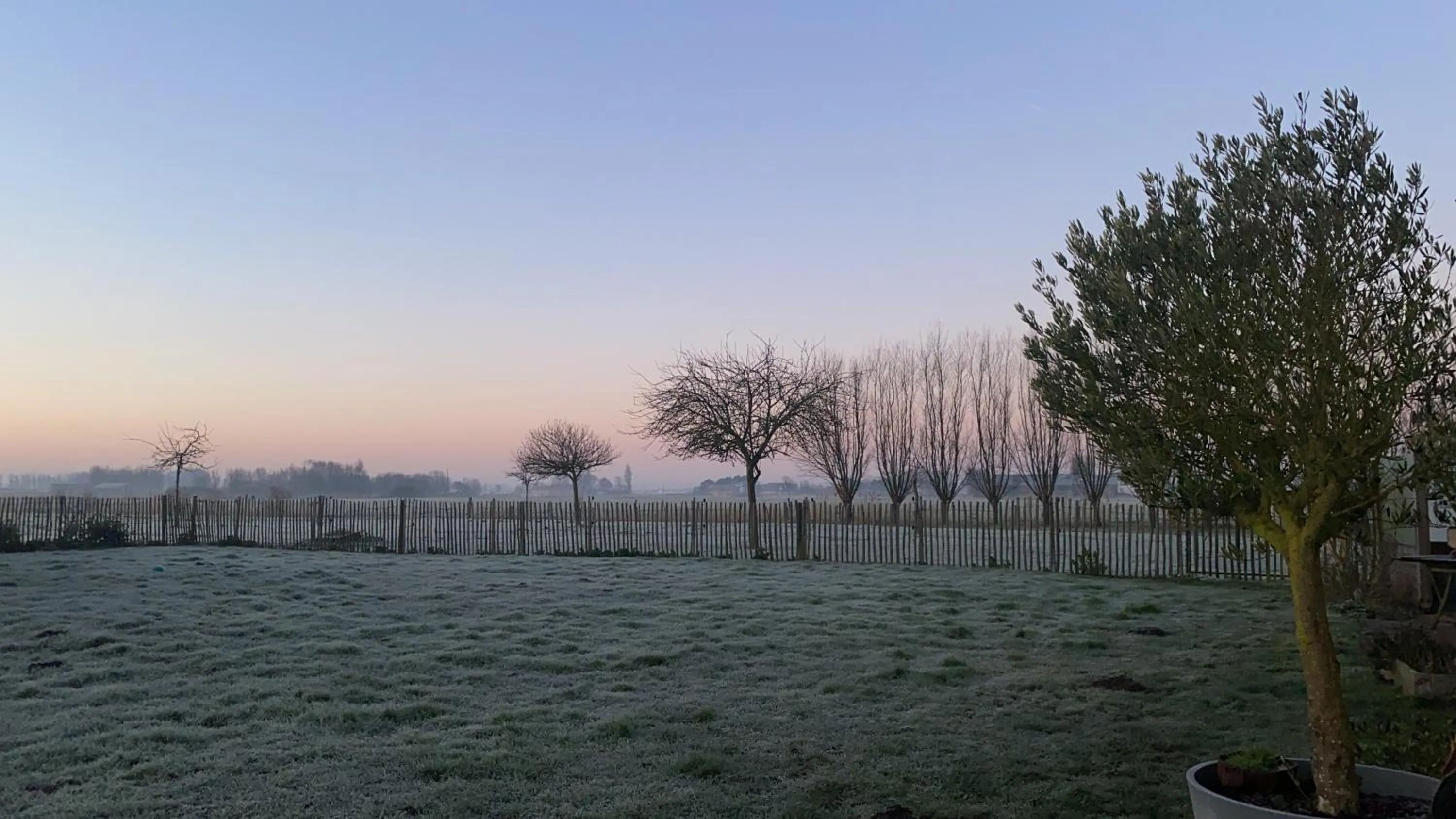 Winter in Kokkelikoo