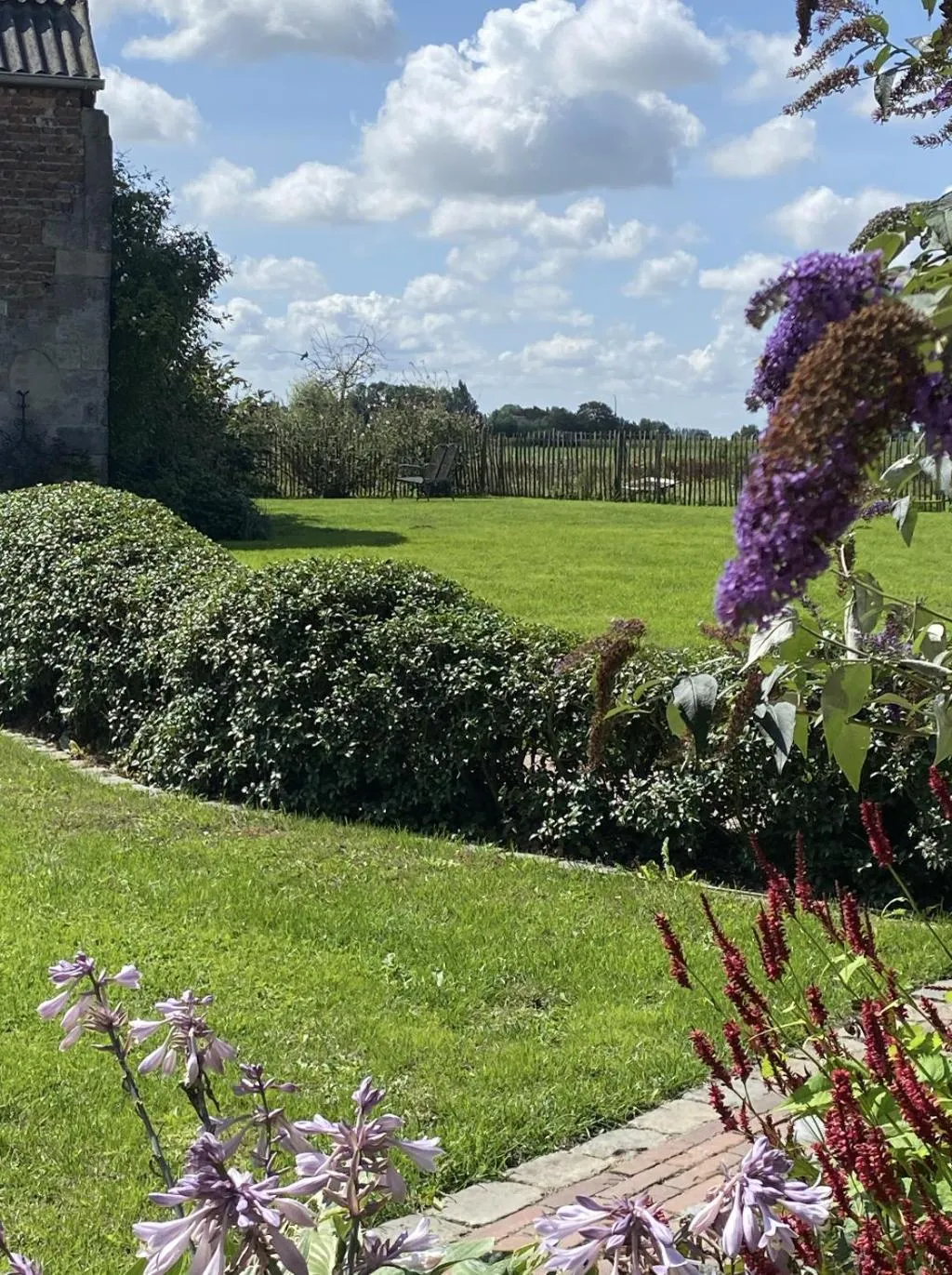Garden view in Kokkelikoo
