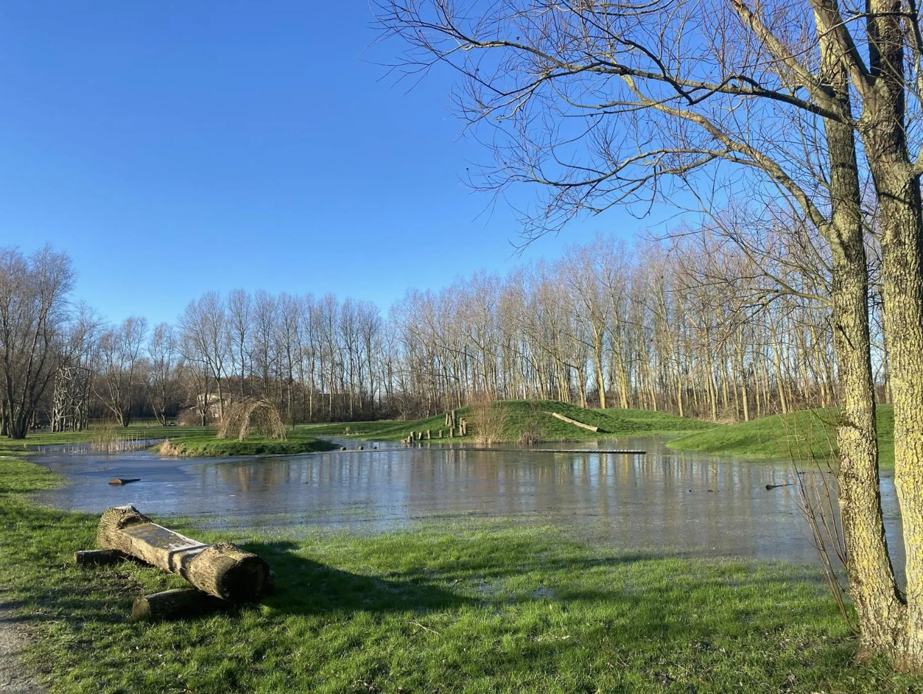 Natural landscape in Kokkelikoo