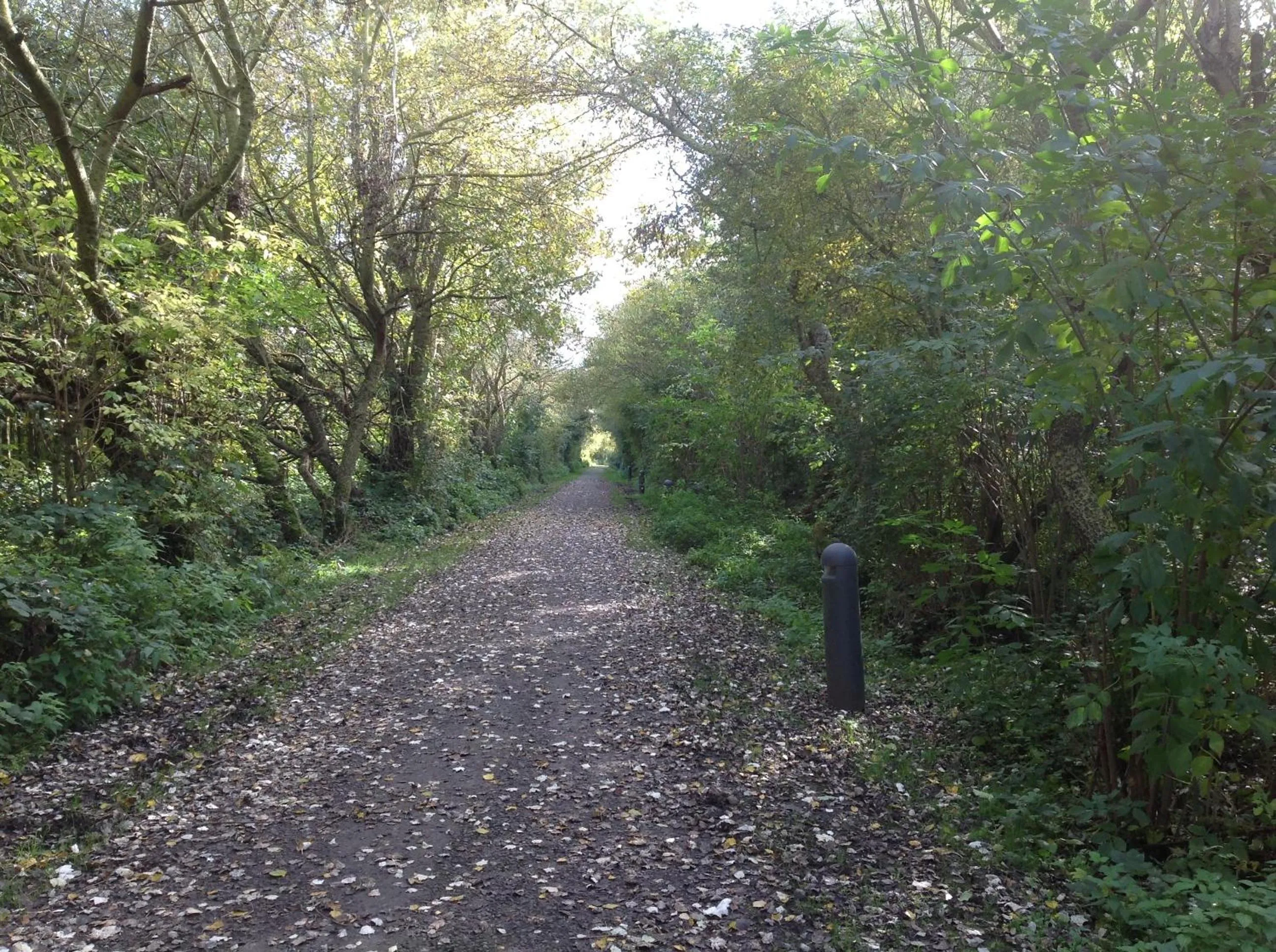 Natural landscape in Kokkelikoo