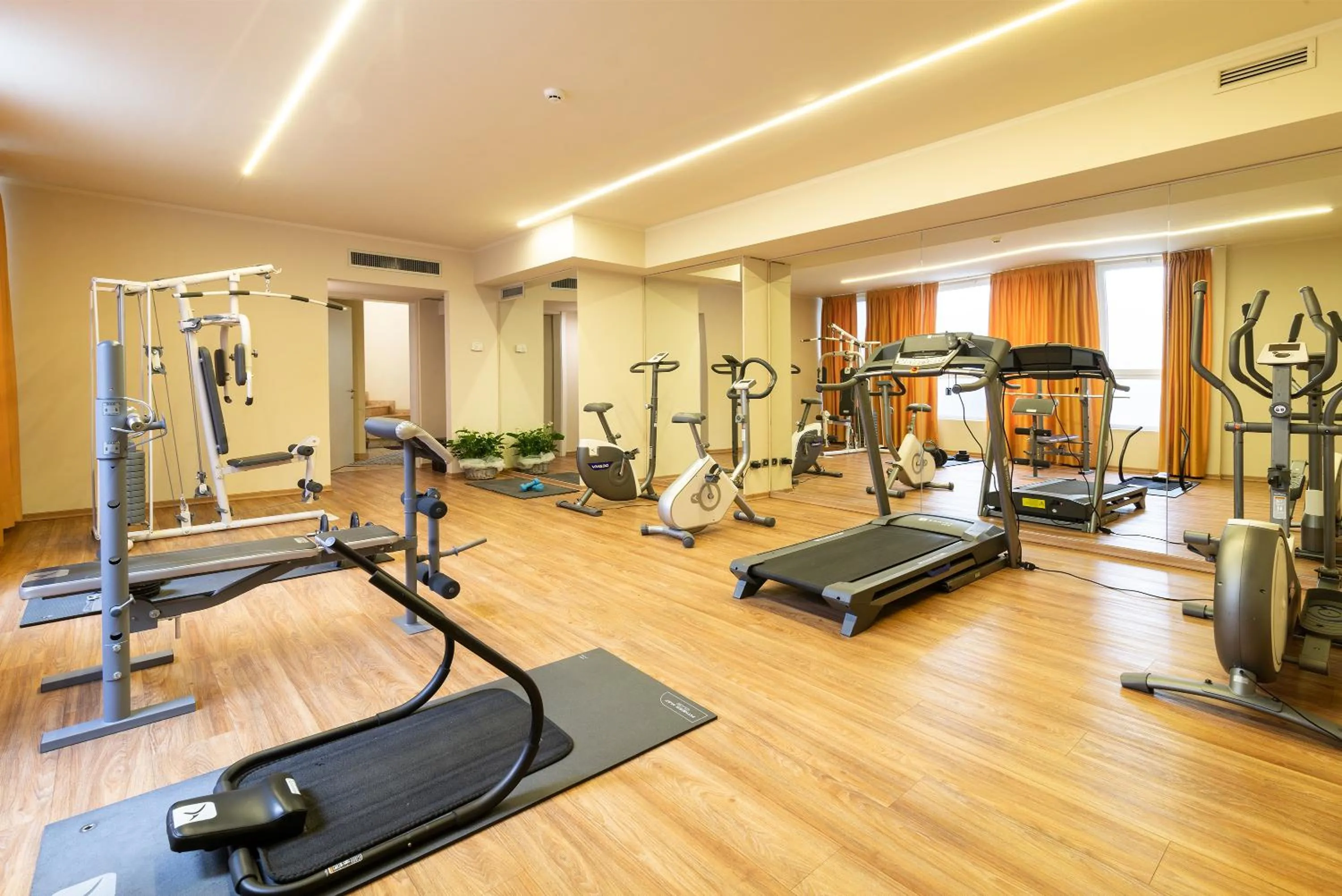 Fitness centre/facilities in Hotel Silver Milano