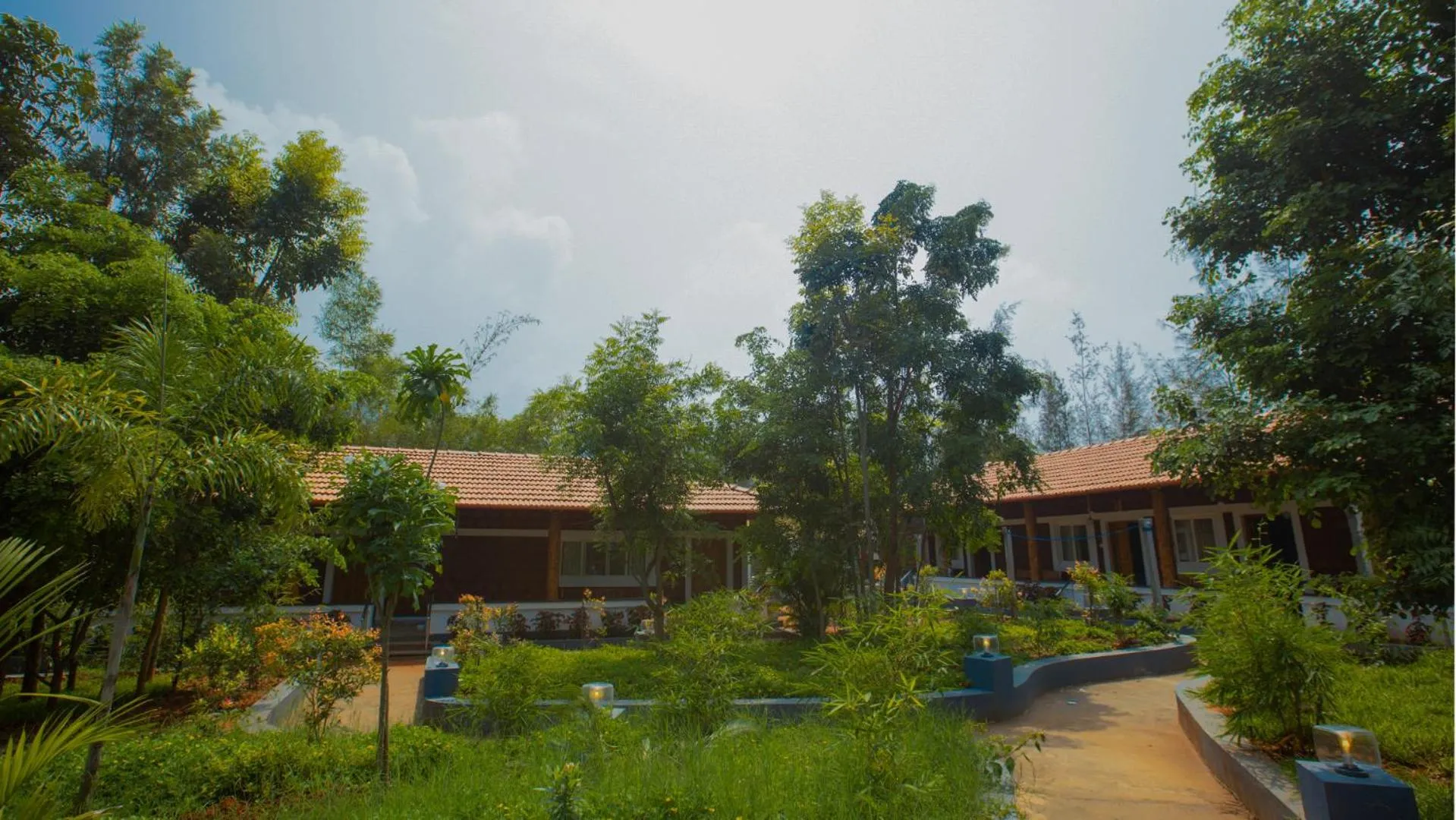 Property building in AARA Jungle Resort