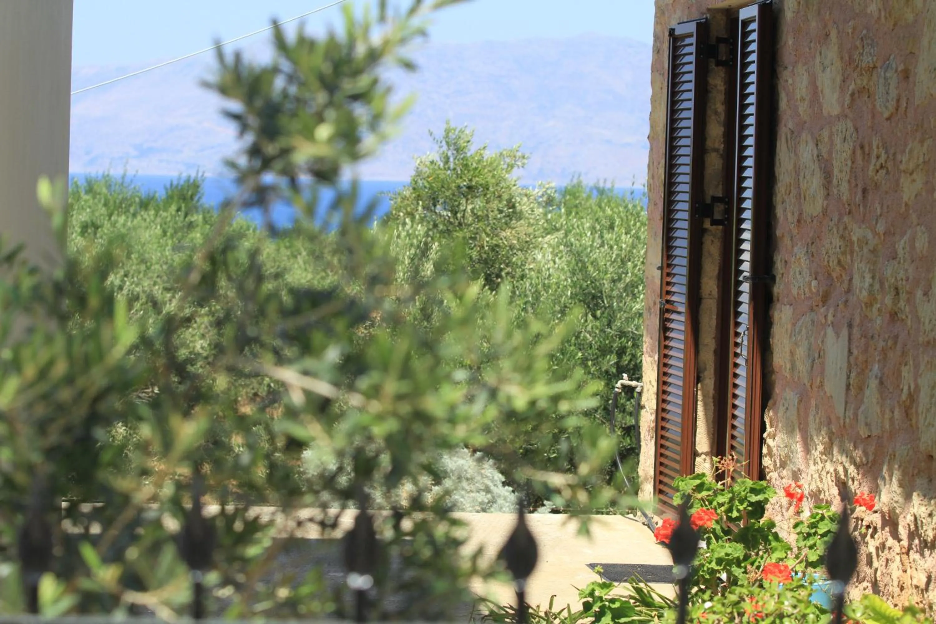 Other in Xenios Zeus Apartments