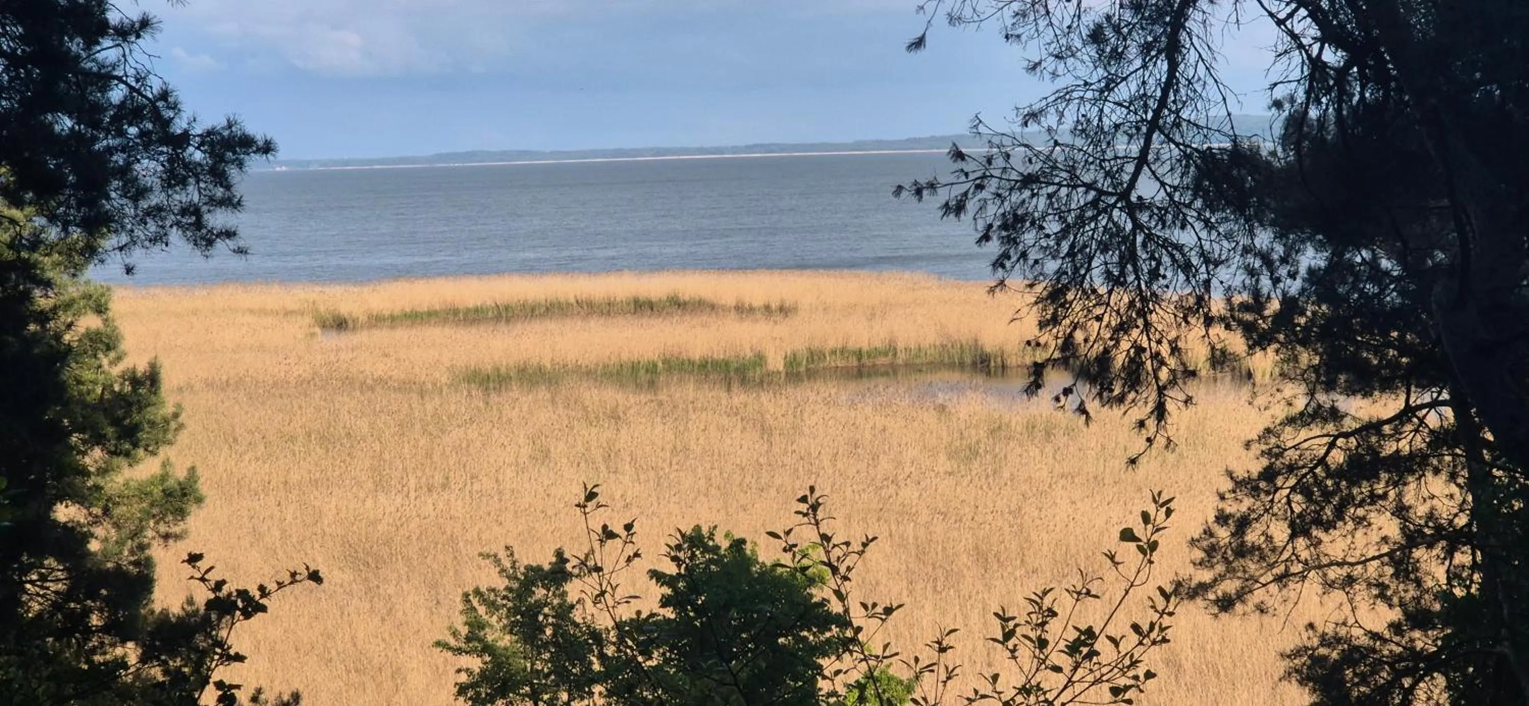 Location in Hotel White