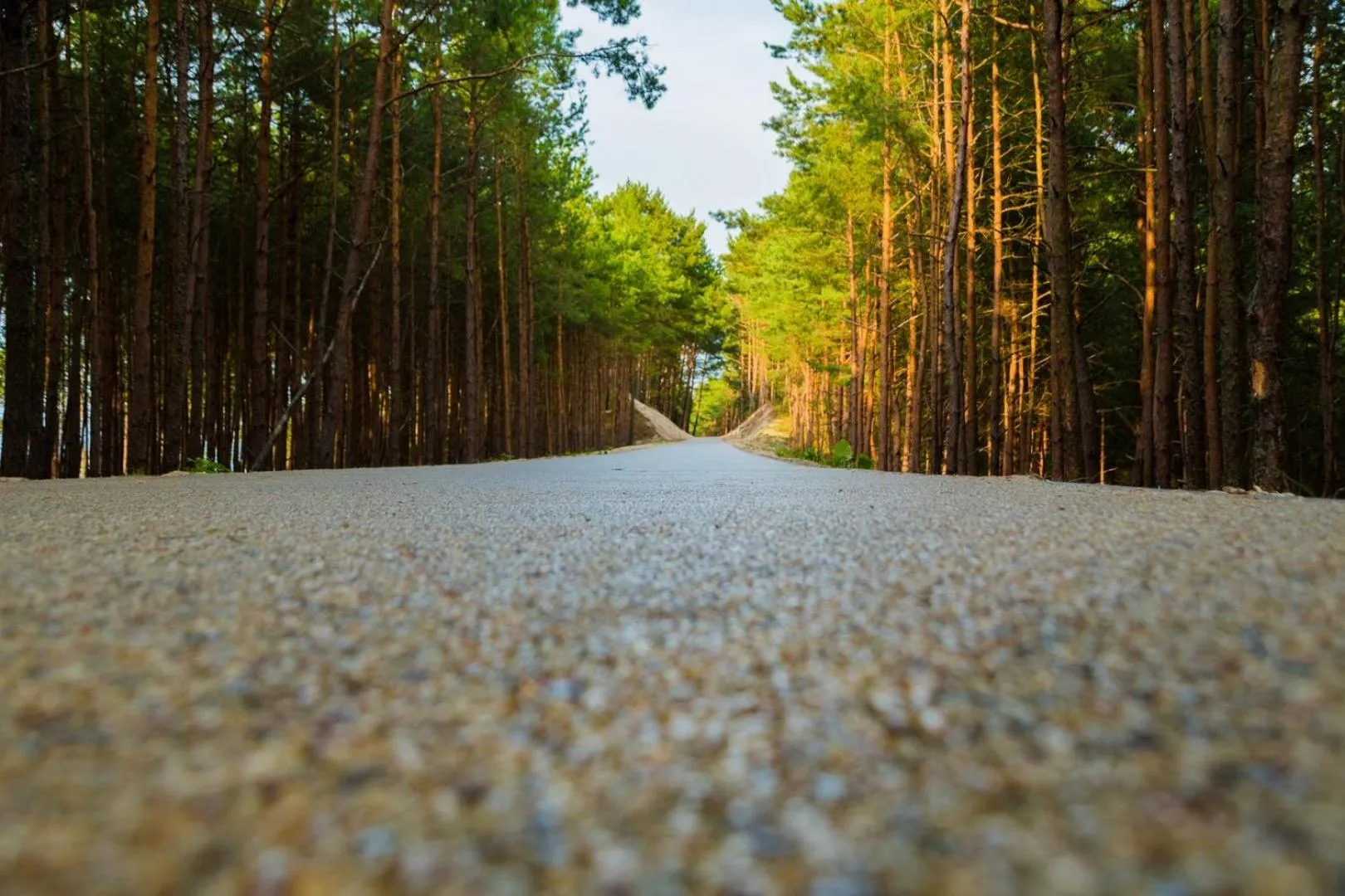 Windsurfing in Hotel White