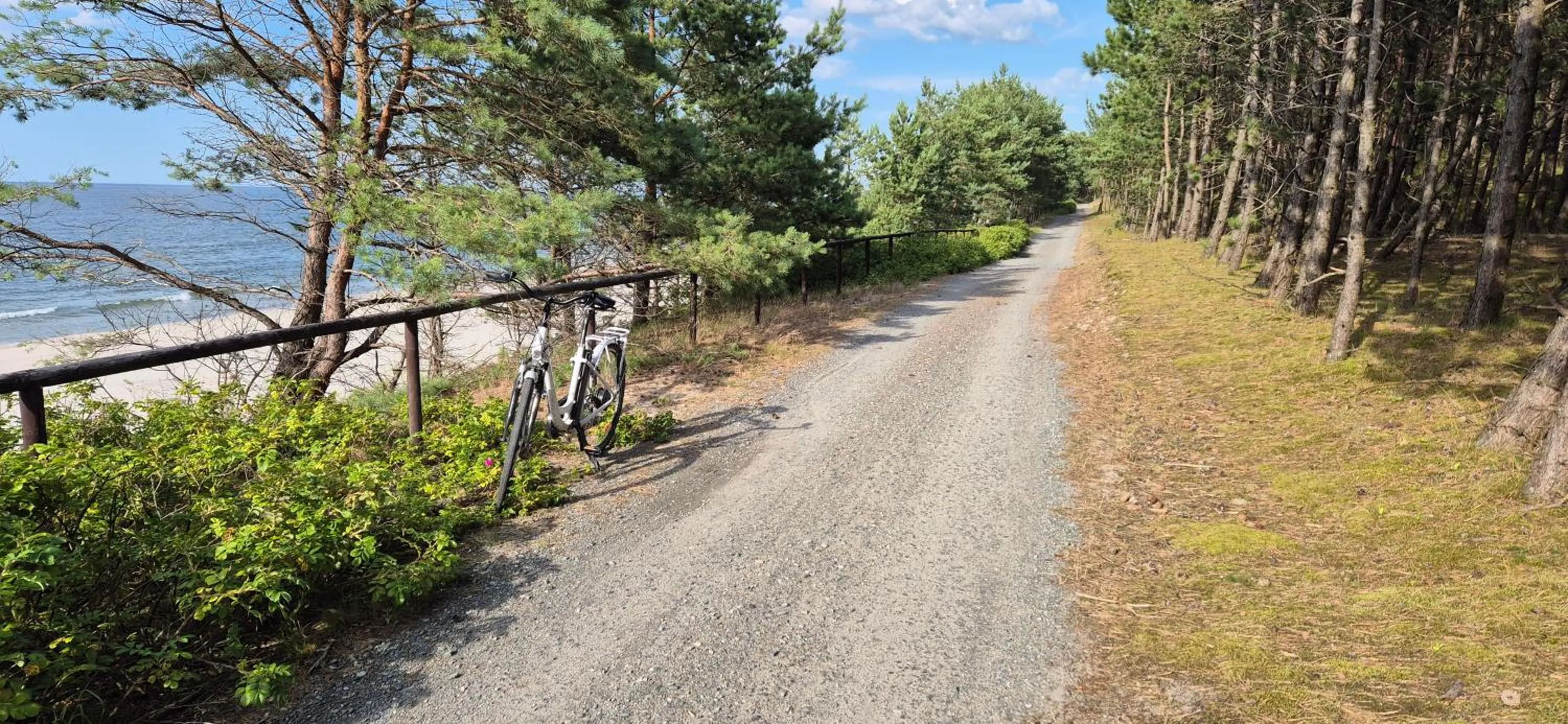 Cycling in Hotel White