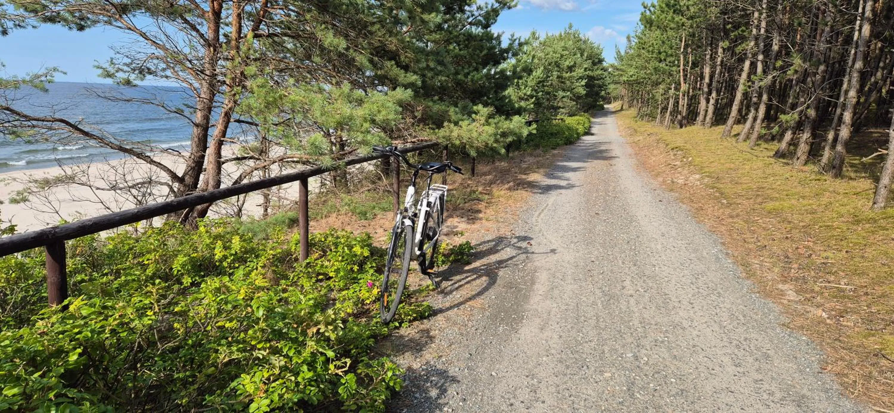 Cycling in Hotel White