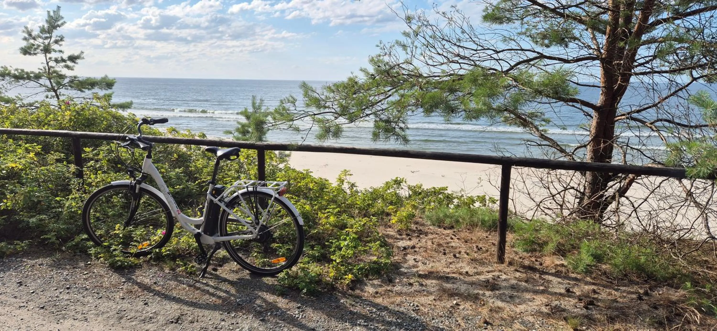 Off site in Hotel White