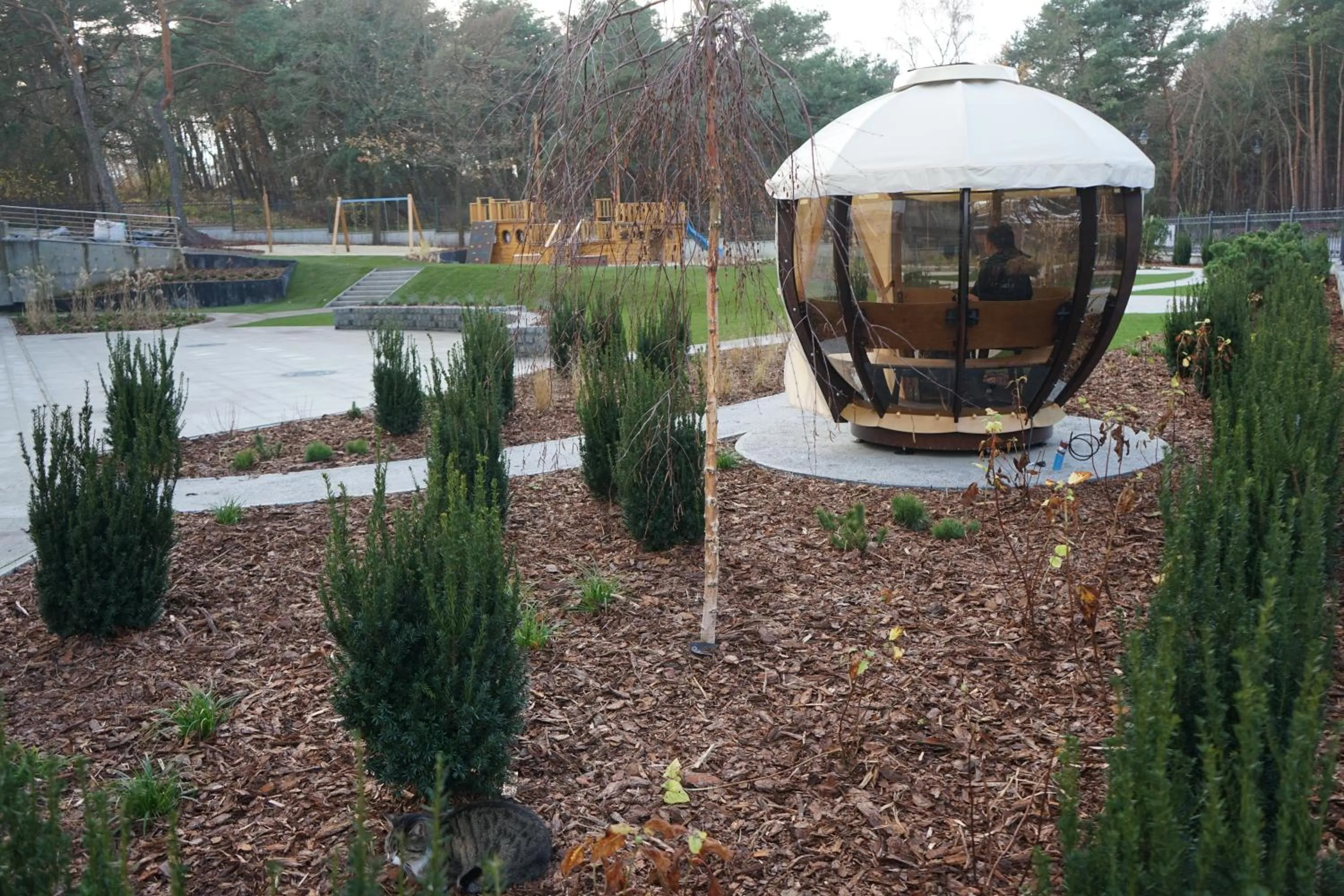 Activities in Hotel White