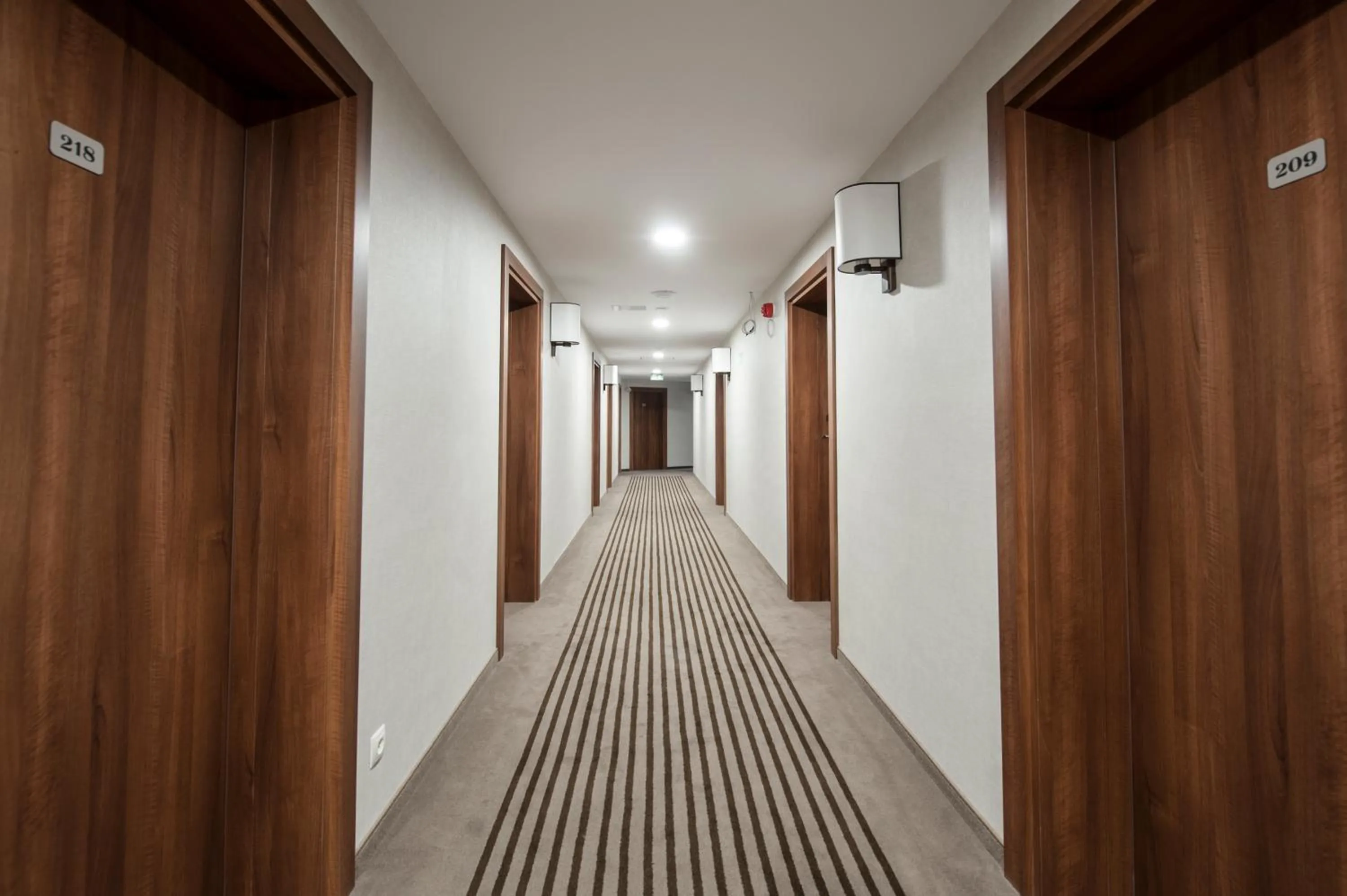 Activities in Hotel White