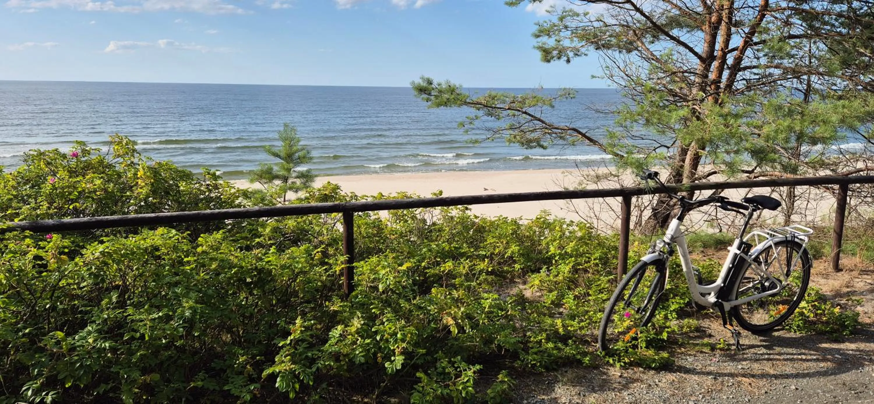 Cycling in Hotel White