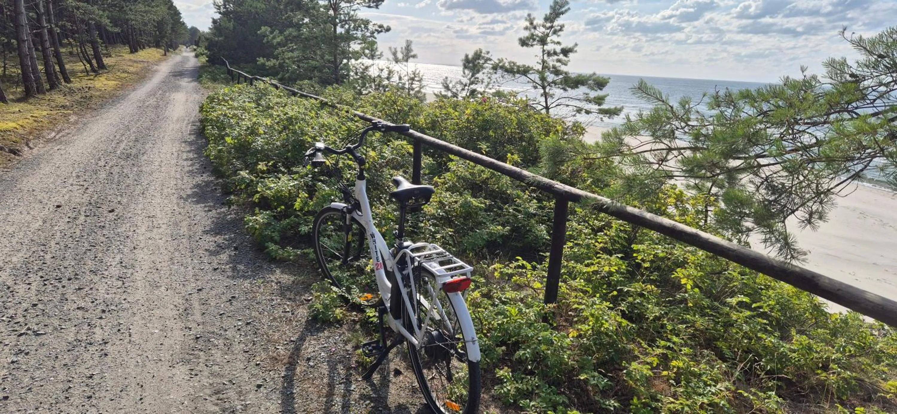 Off site in Hotel White