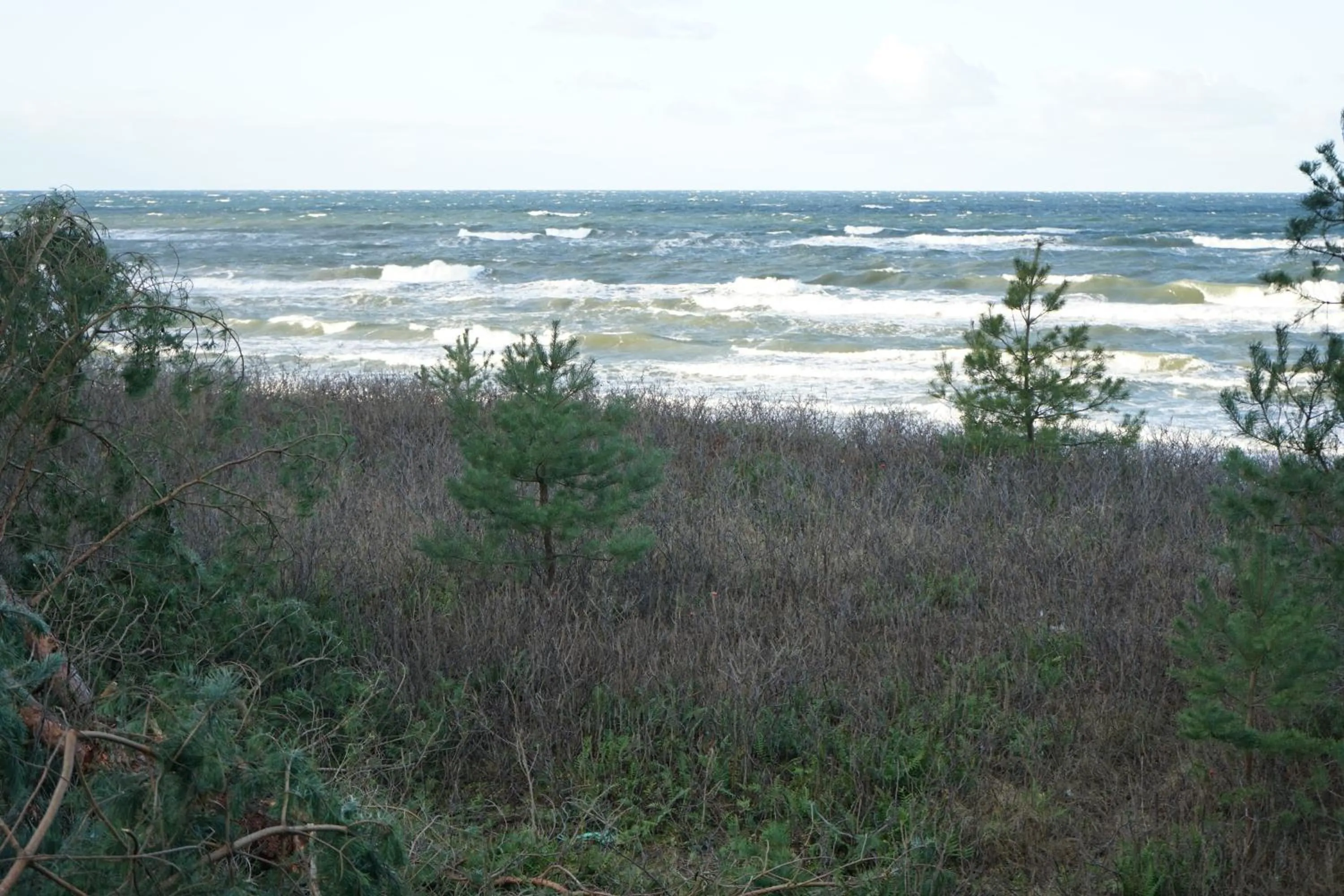 Beach in Hotel White
