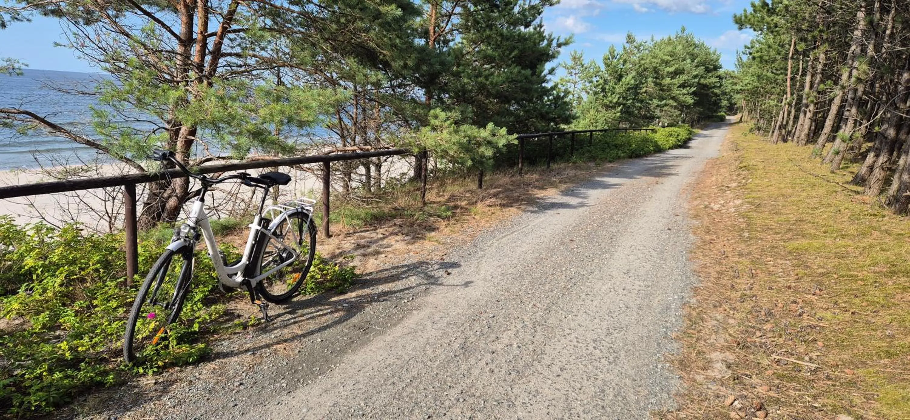Cycling in Hotel White