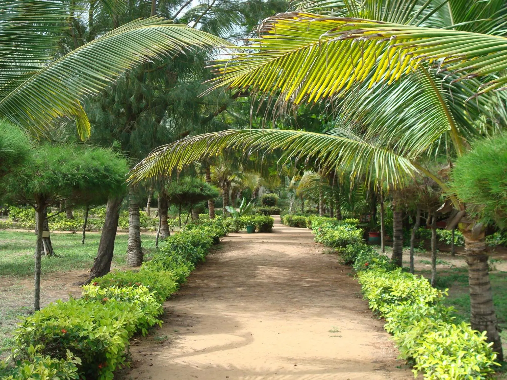Natural landscape in Hotel Village Vacances Awale Plage