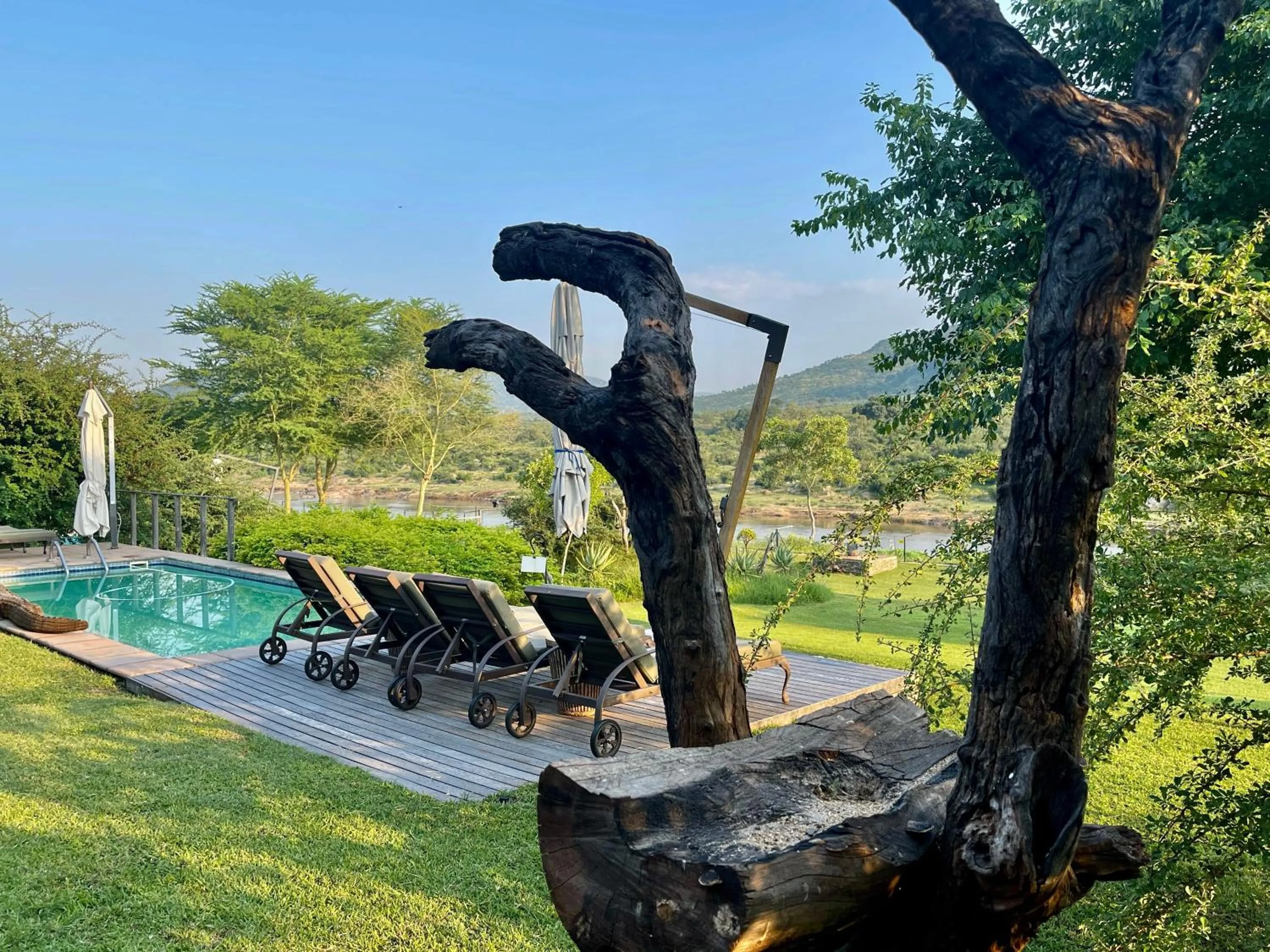 Garden view in Kambaku River Lodge