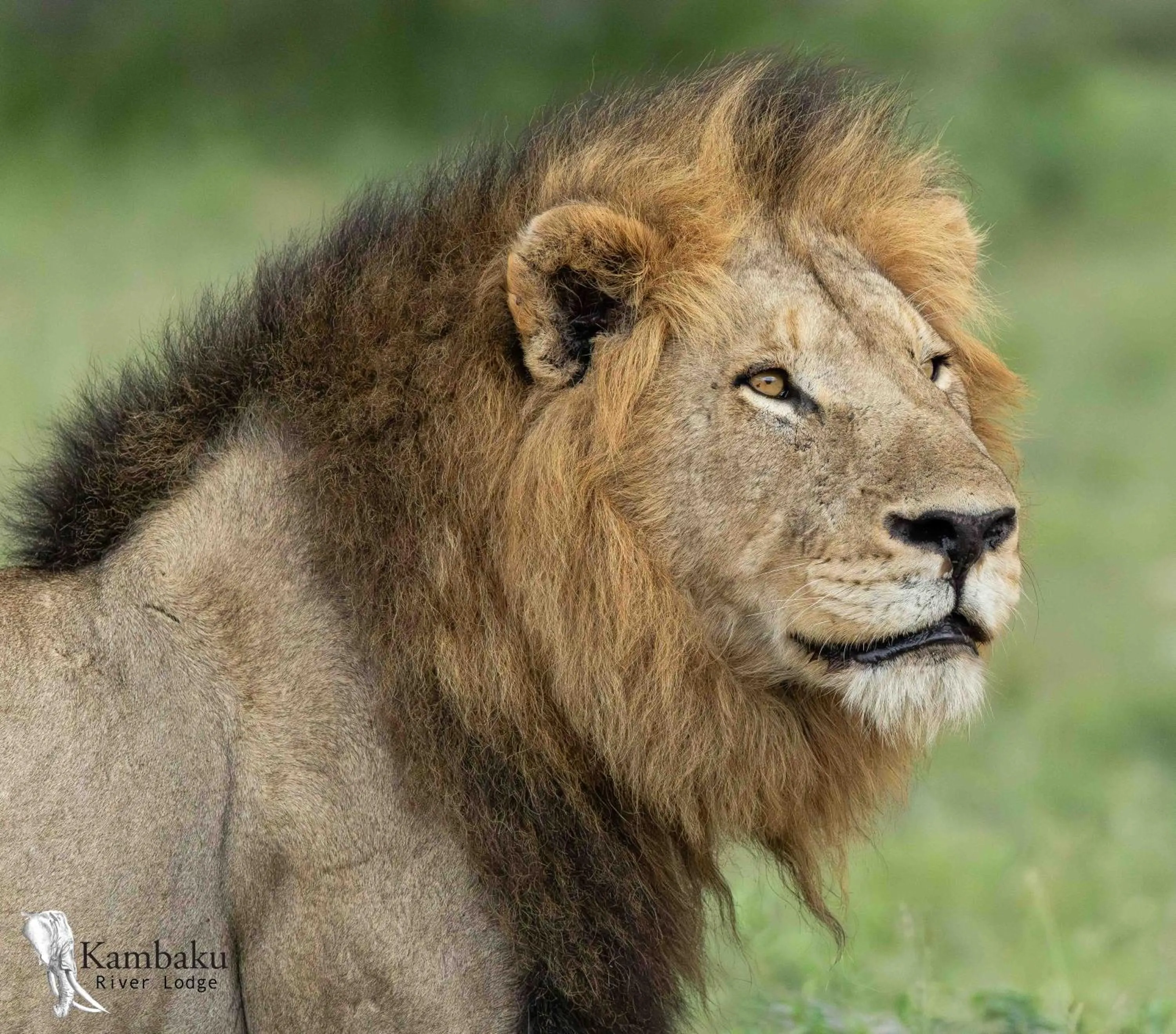 Landmark view in Kambaku River Lodge