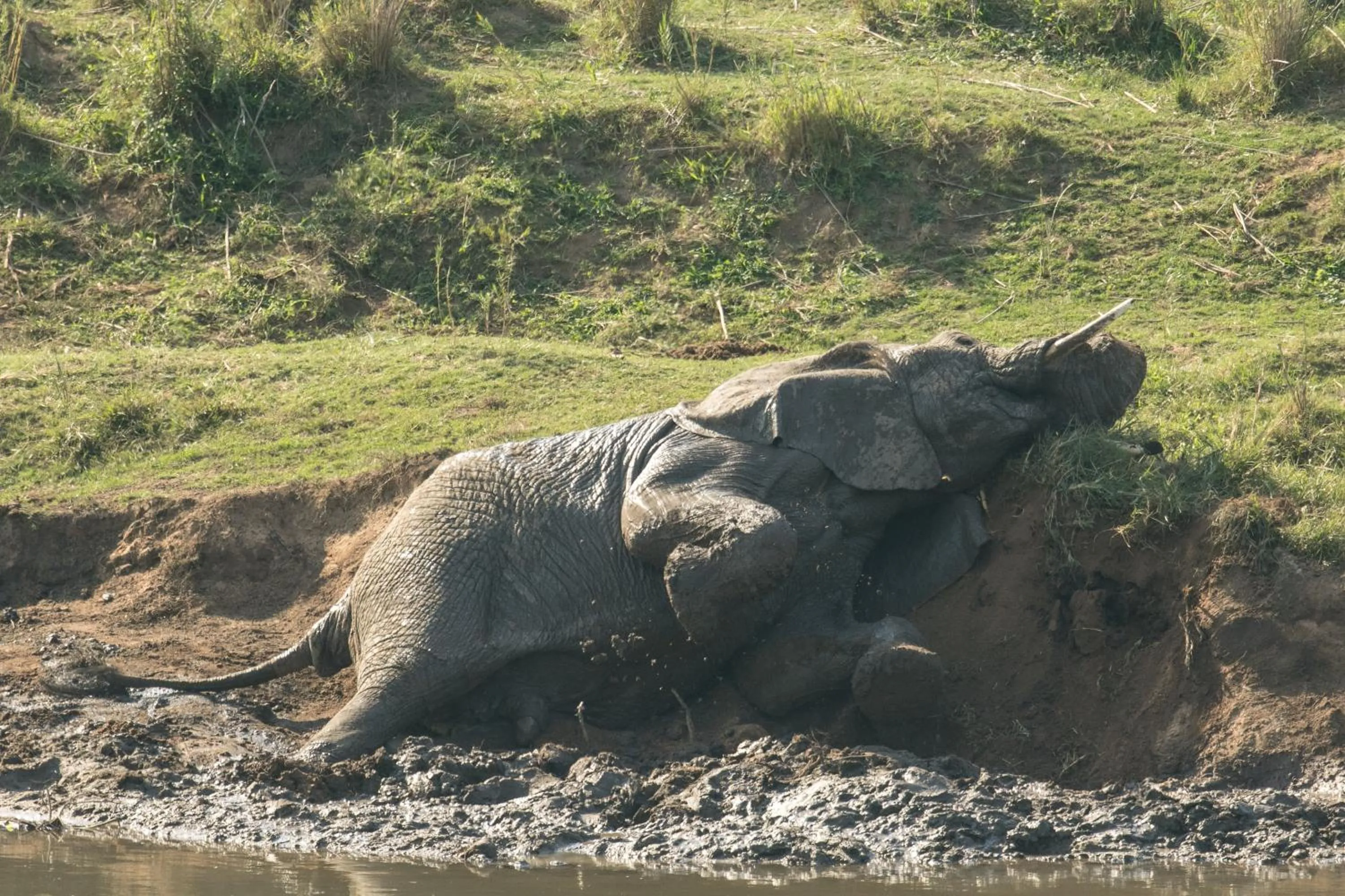 View (from property/room) in Kambaku River Lodge