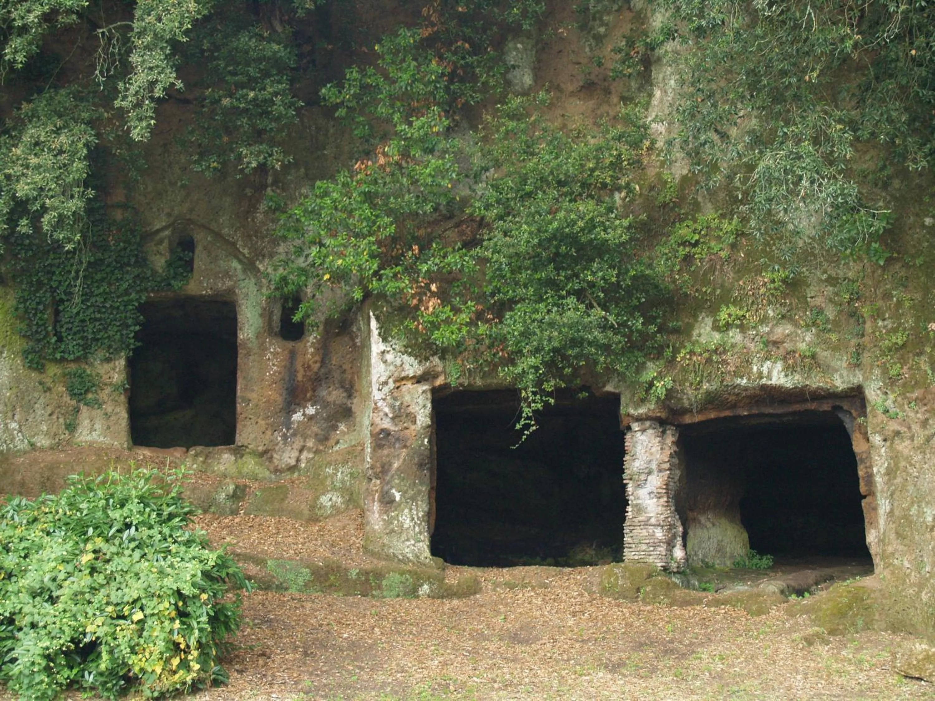 Natural landscape in Donna Etrusca