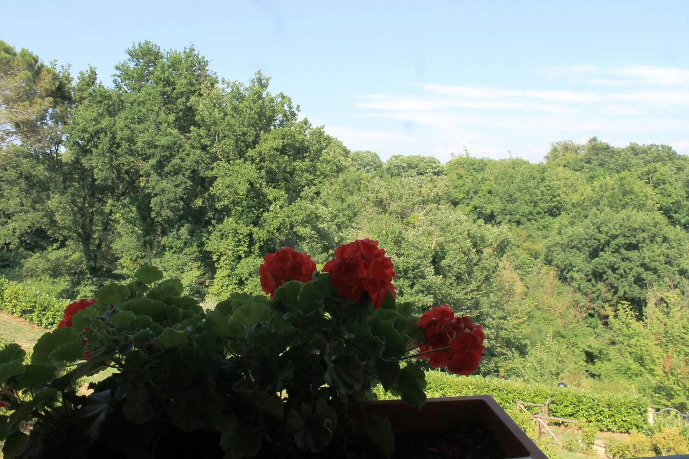 Garden view in Donna Etrusca