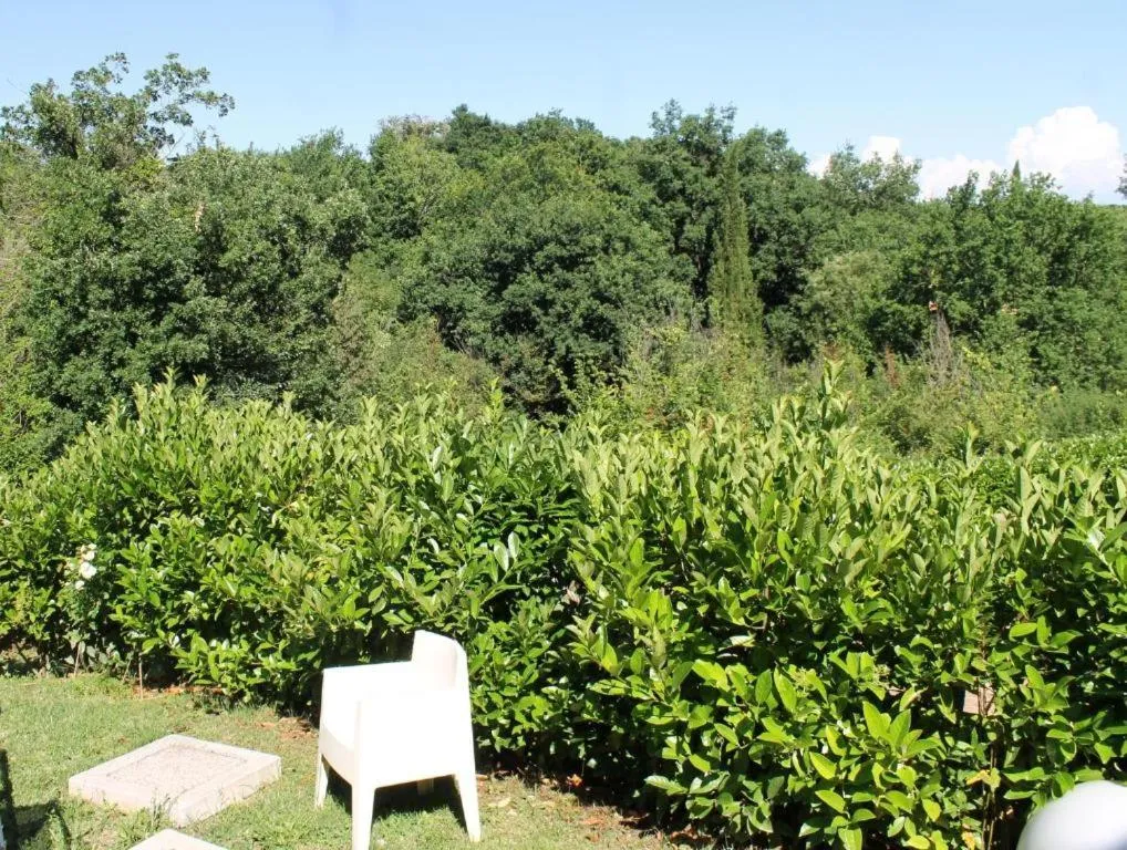 View (from property/room) in Donna Etrusca