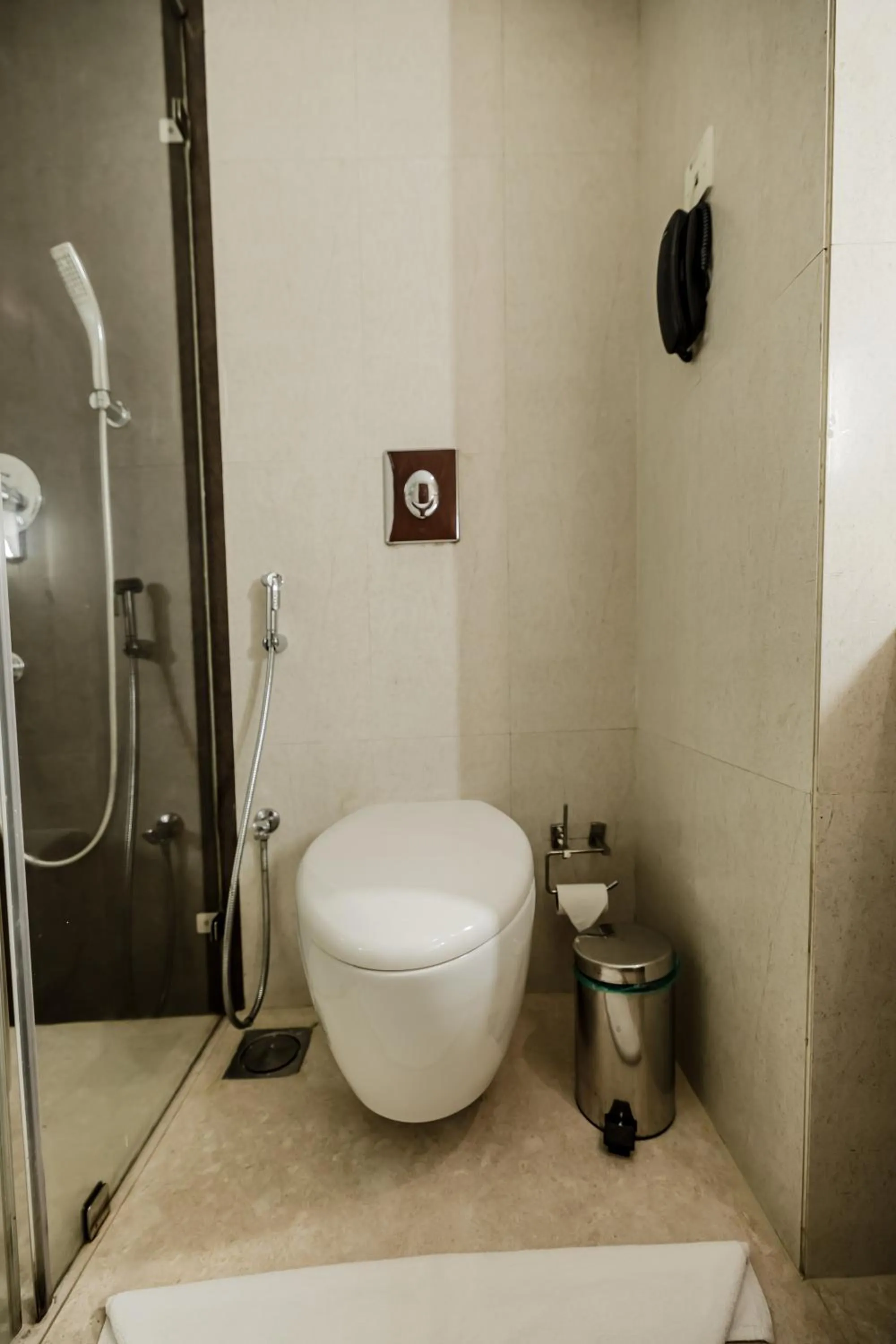 Toilet in Olive Downtown