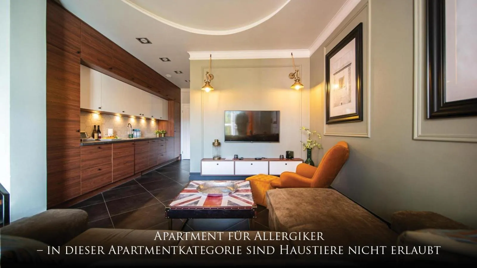 TV and multimedia in Norweska Dolina Family&Pet-friendly Resort