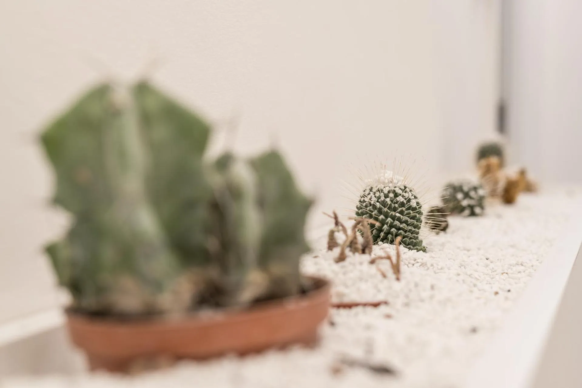 Decorative detail in Affittacamere My Home