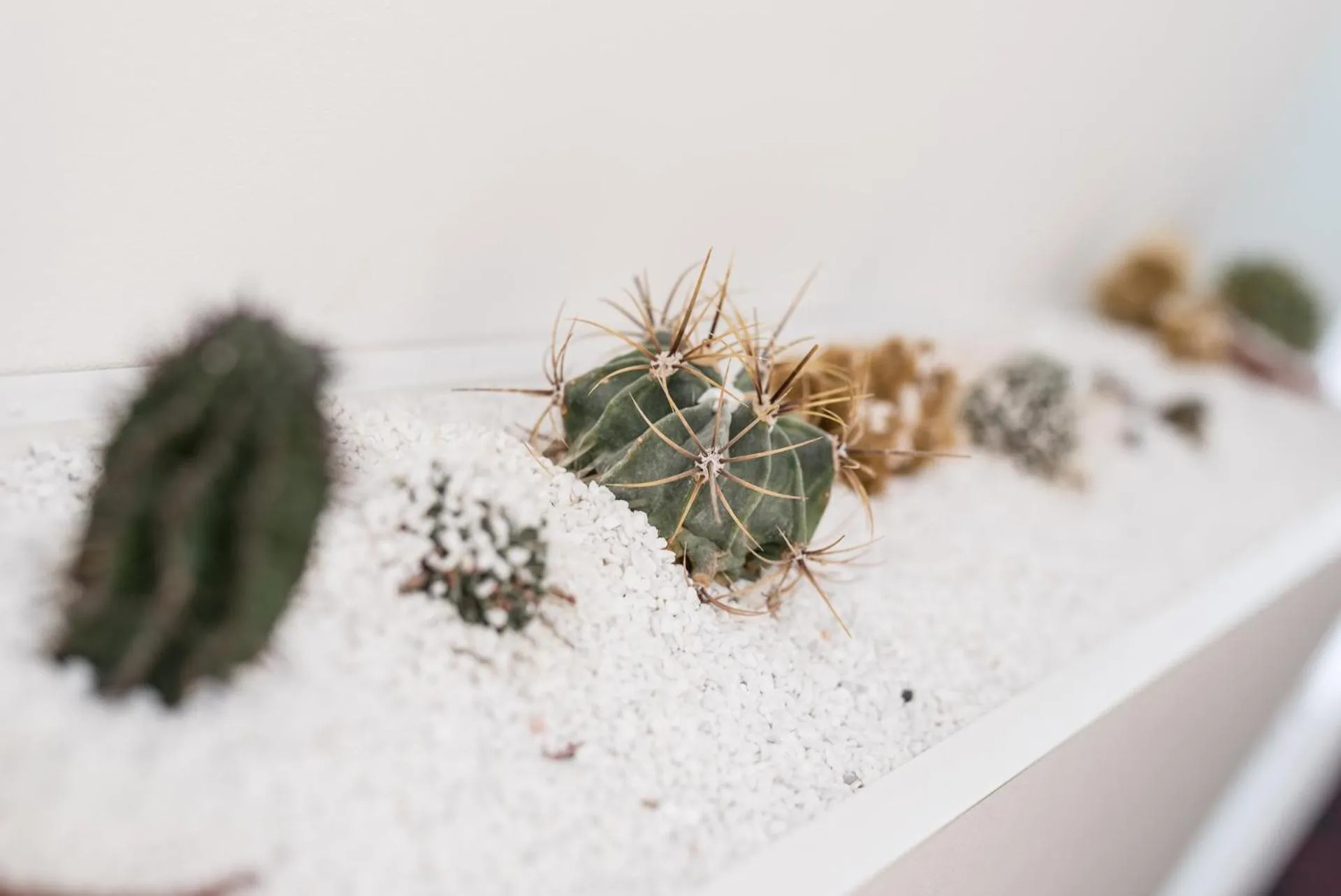 Decorative detail in Affittacamere My Home