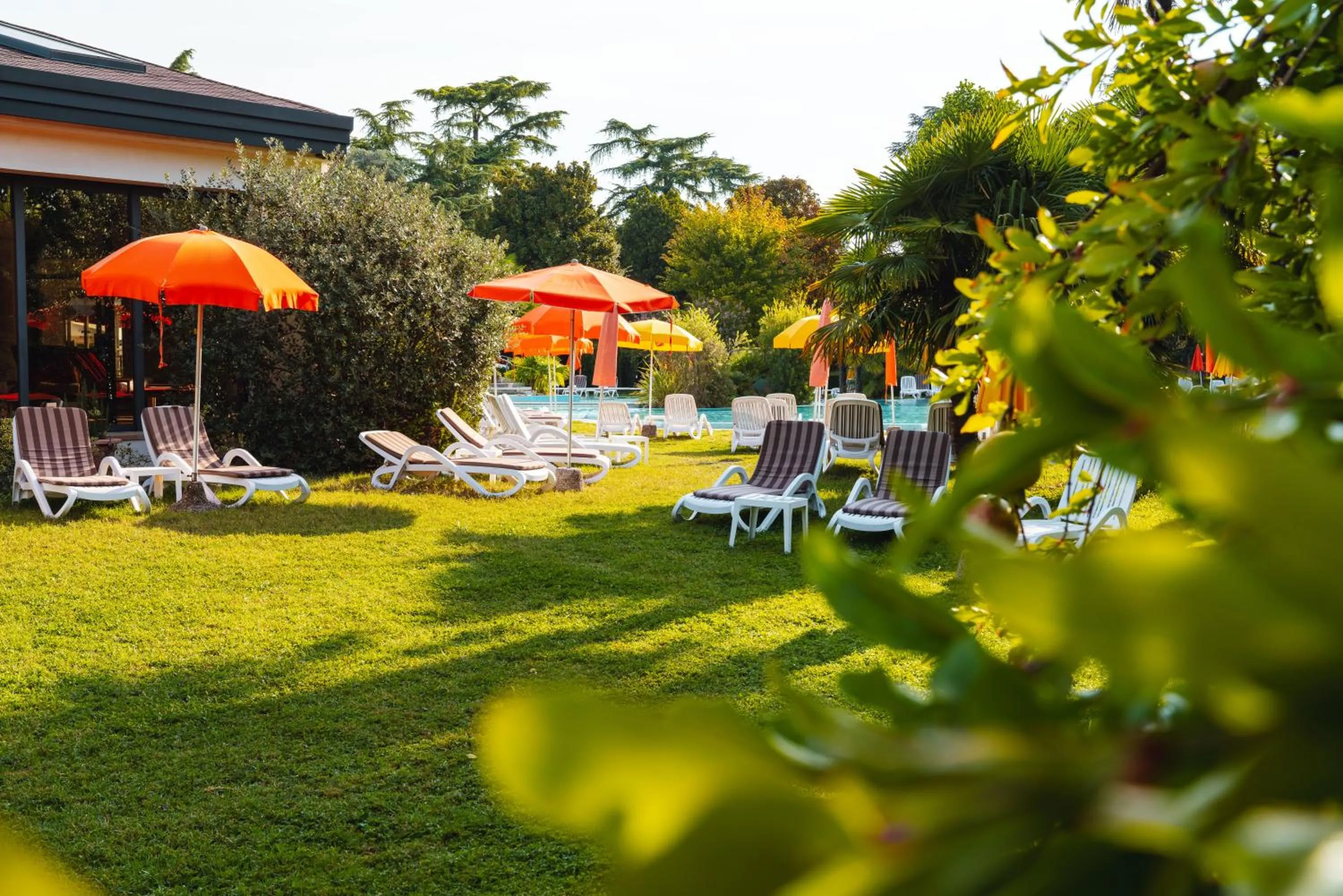 Garden in Hotel Garden Terme