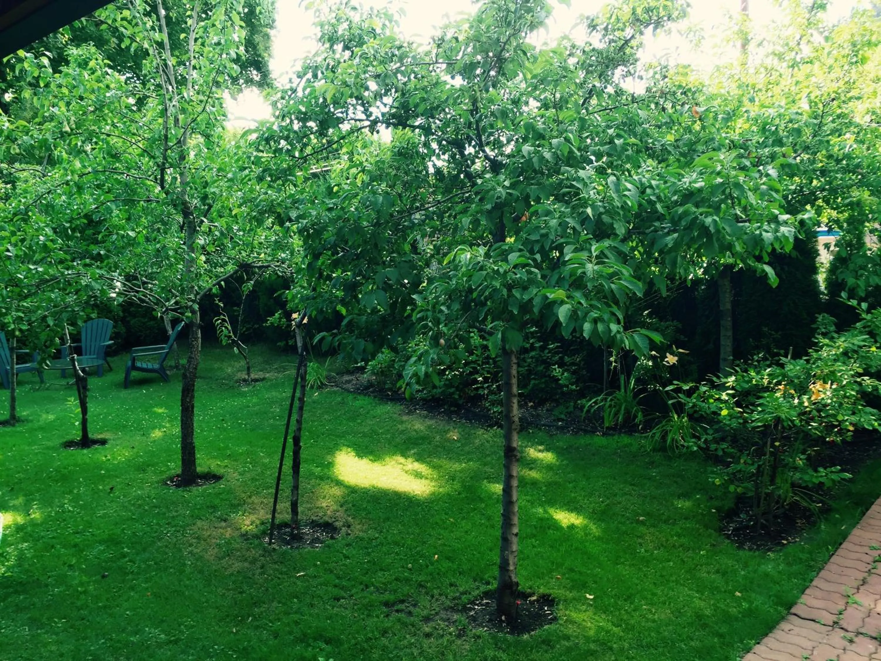 Garden in Luna Bed & Breakfast