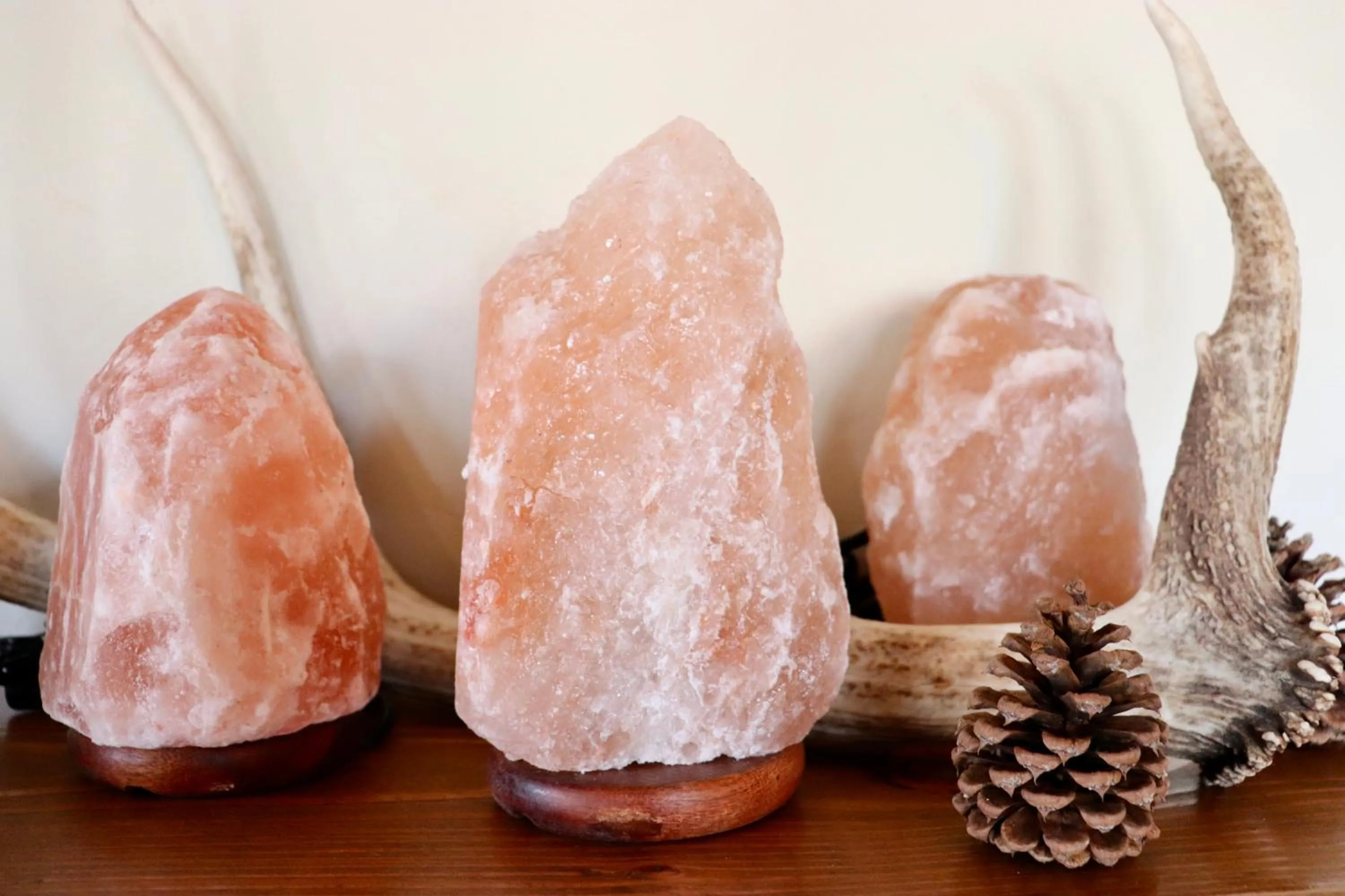 Area and facilities in Evergreen Motel