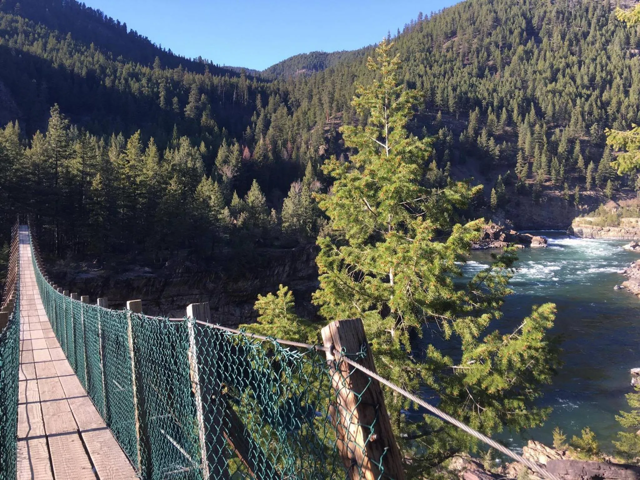 Natural landscape in Evergreen Motel