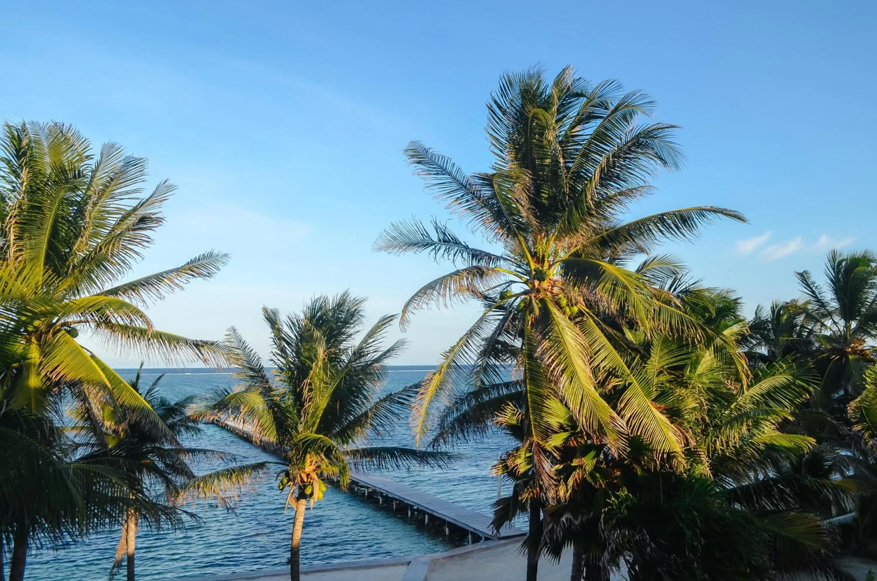 Bird's eye view in Blue Tang Inn