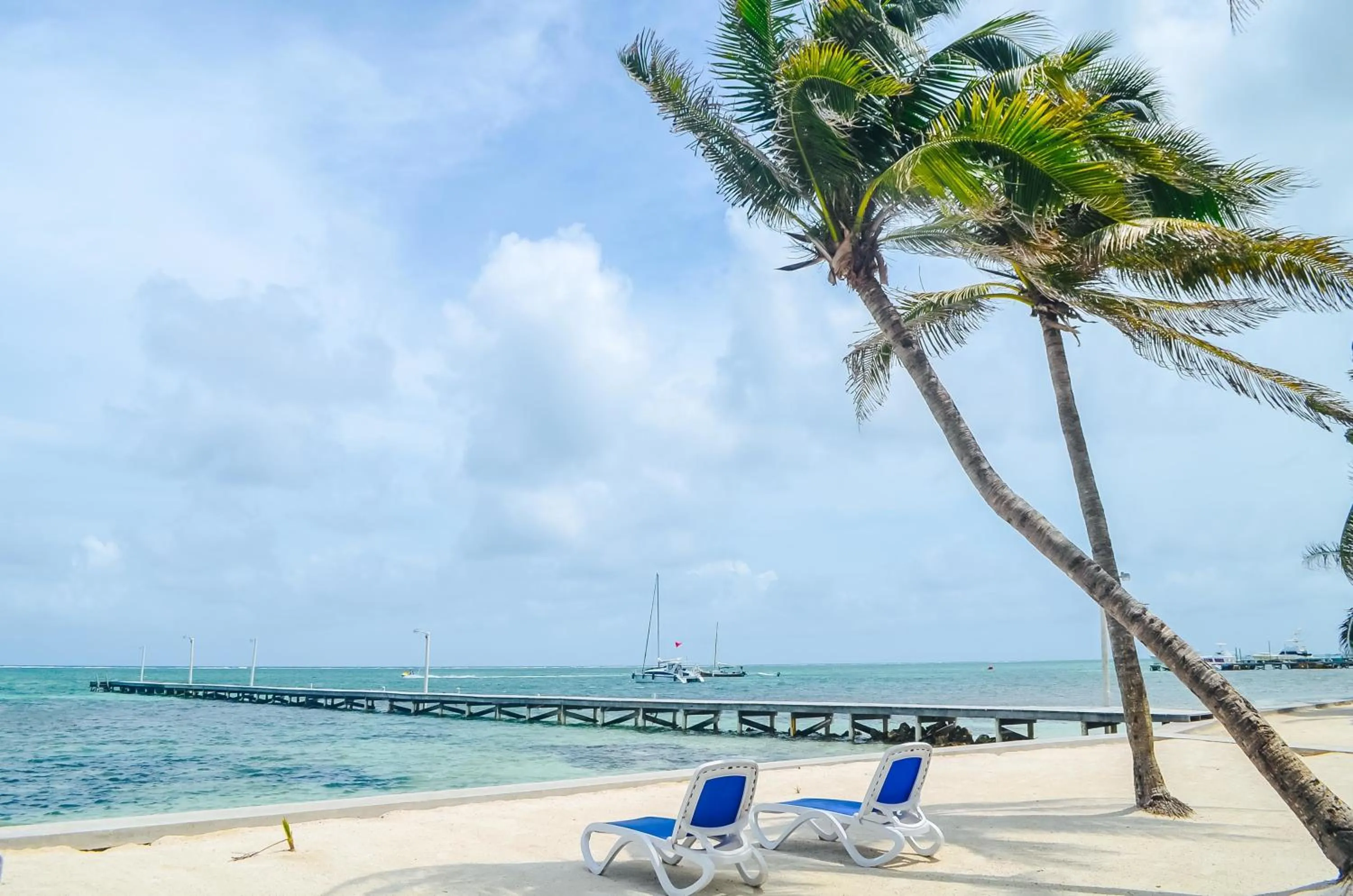 Natural landscape in Blue Tang Inn