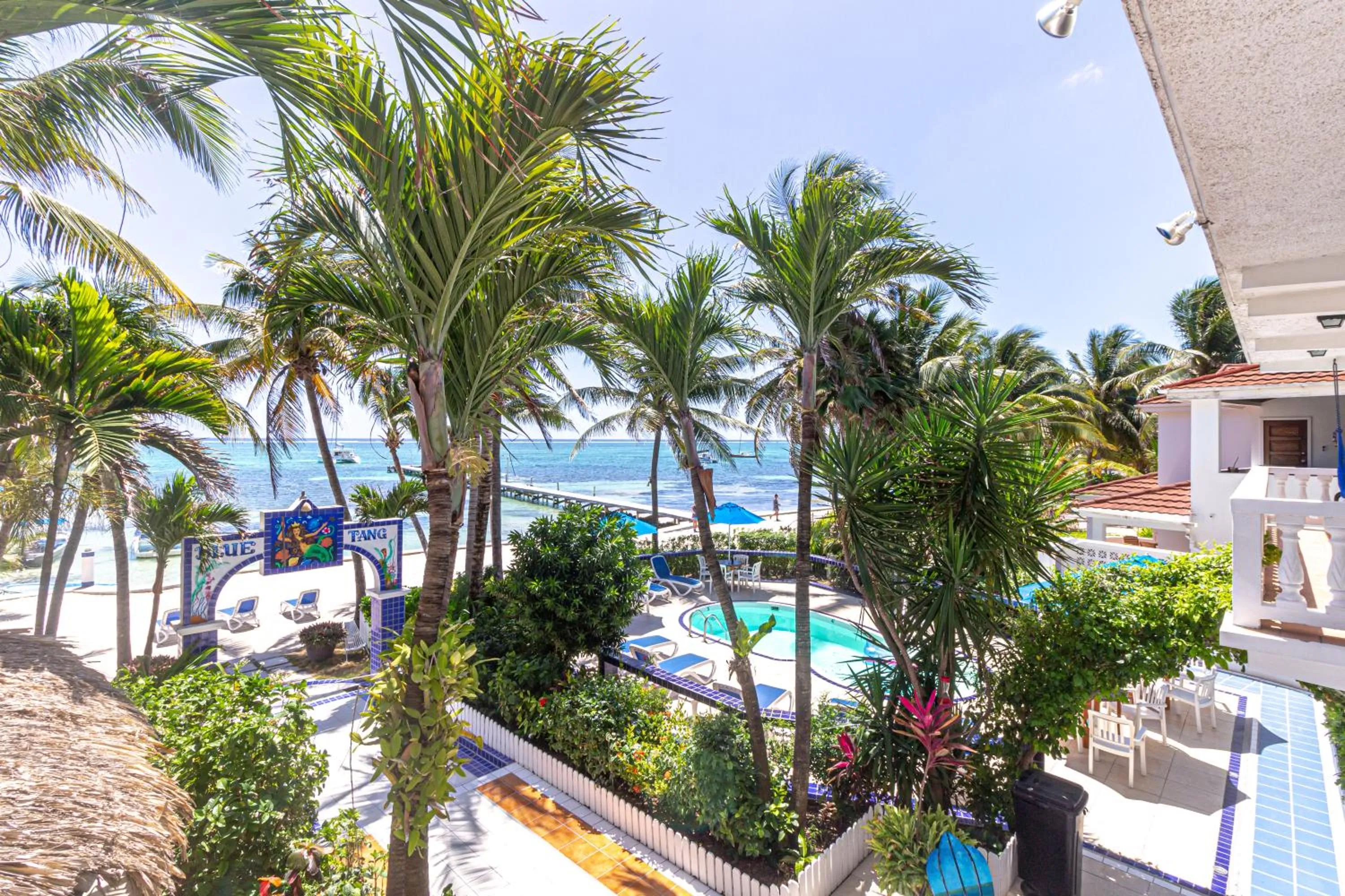 Balcony/Terrace in Blue Tang Inn