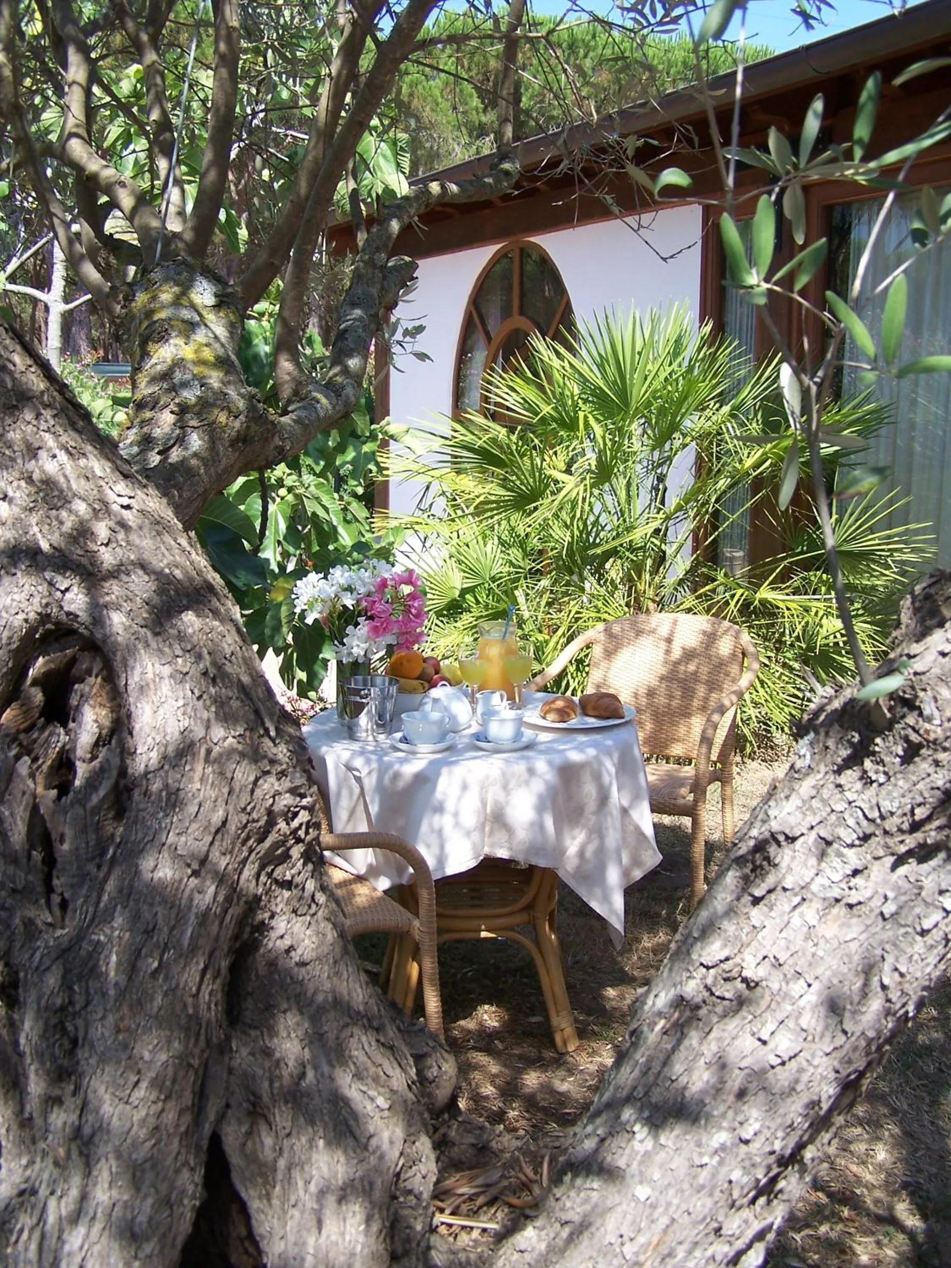 Balcony/Terrace in Hotel Club Ragno D'oro
