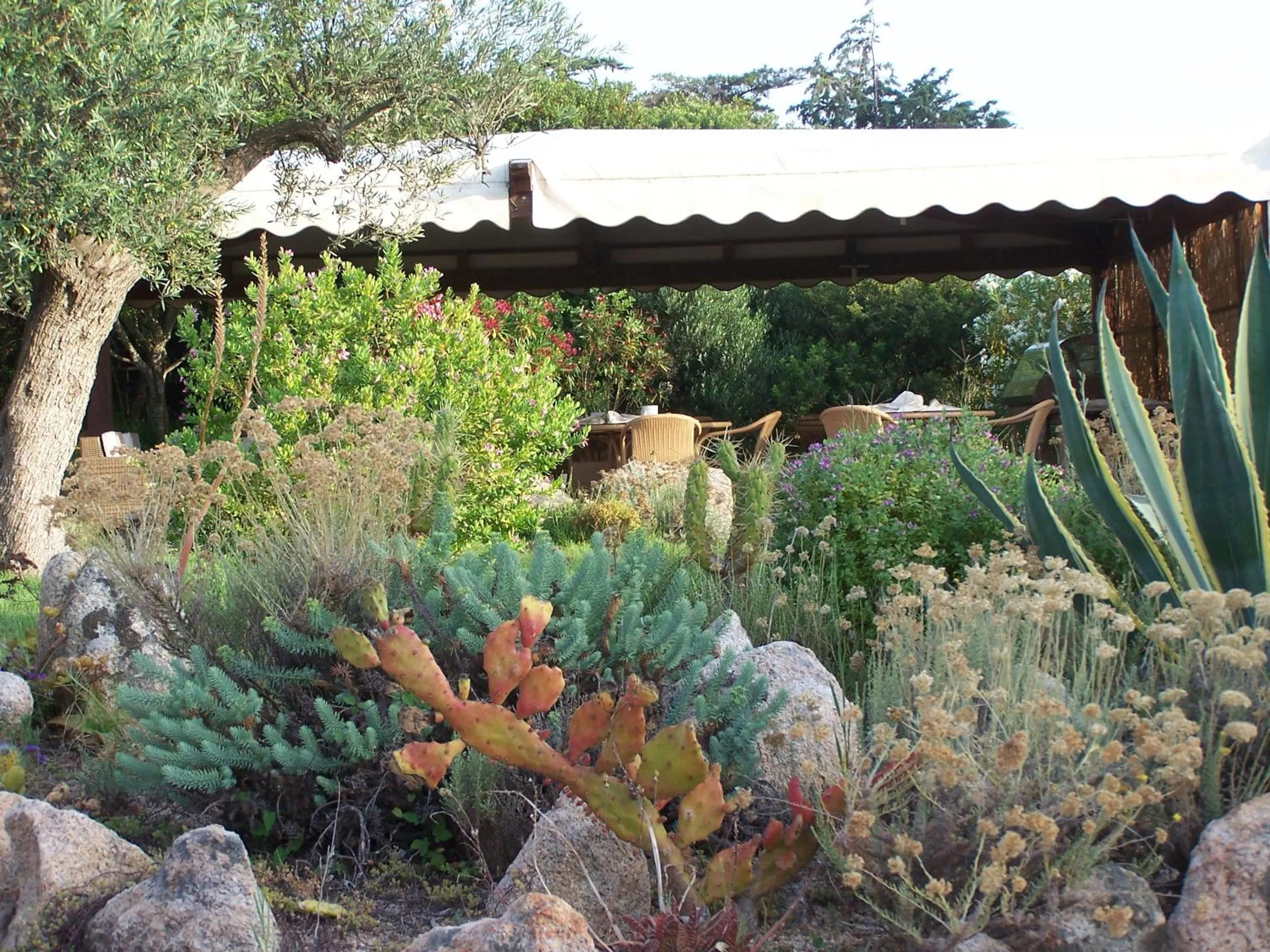 Garden in Hotel Club Ragno D'oro