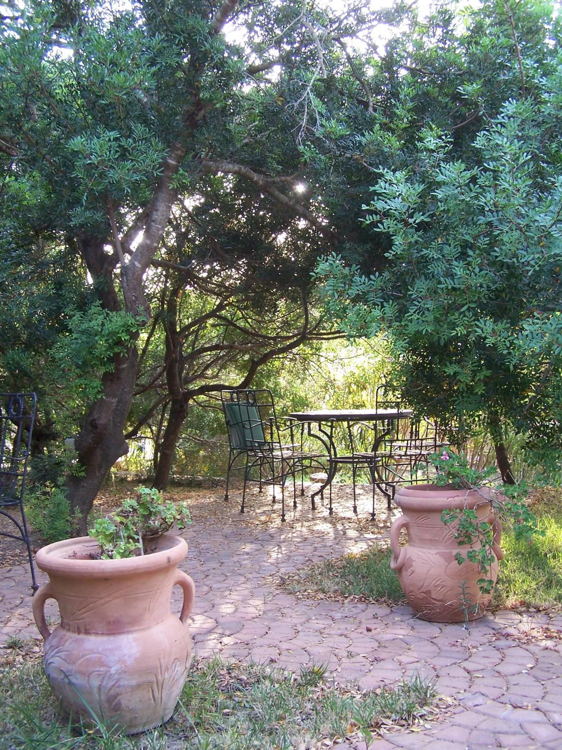 Balcony/Terrace in Hotel Club Ragno D'oro