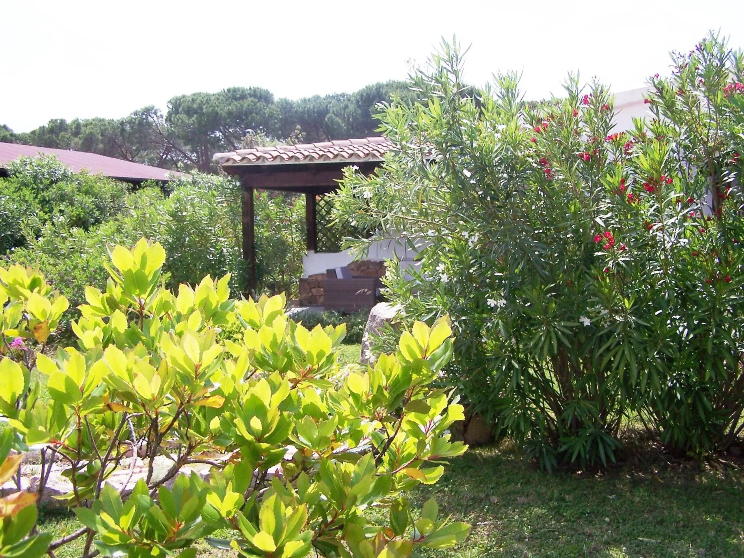 Garden in Hotel Club Ragno D'oro