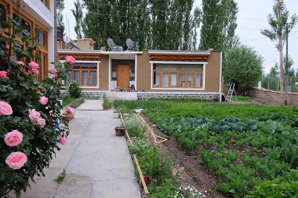 Garden view in Sangto Green Guest House